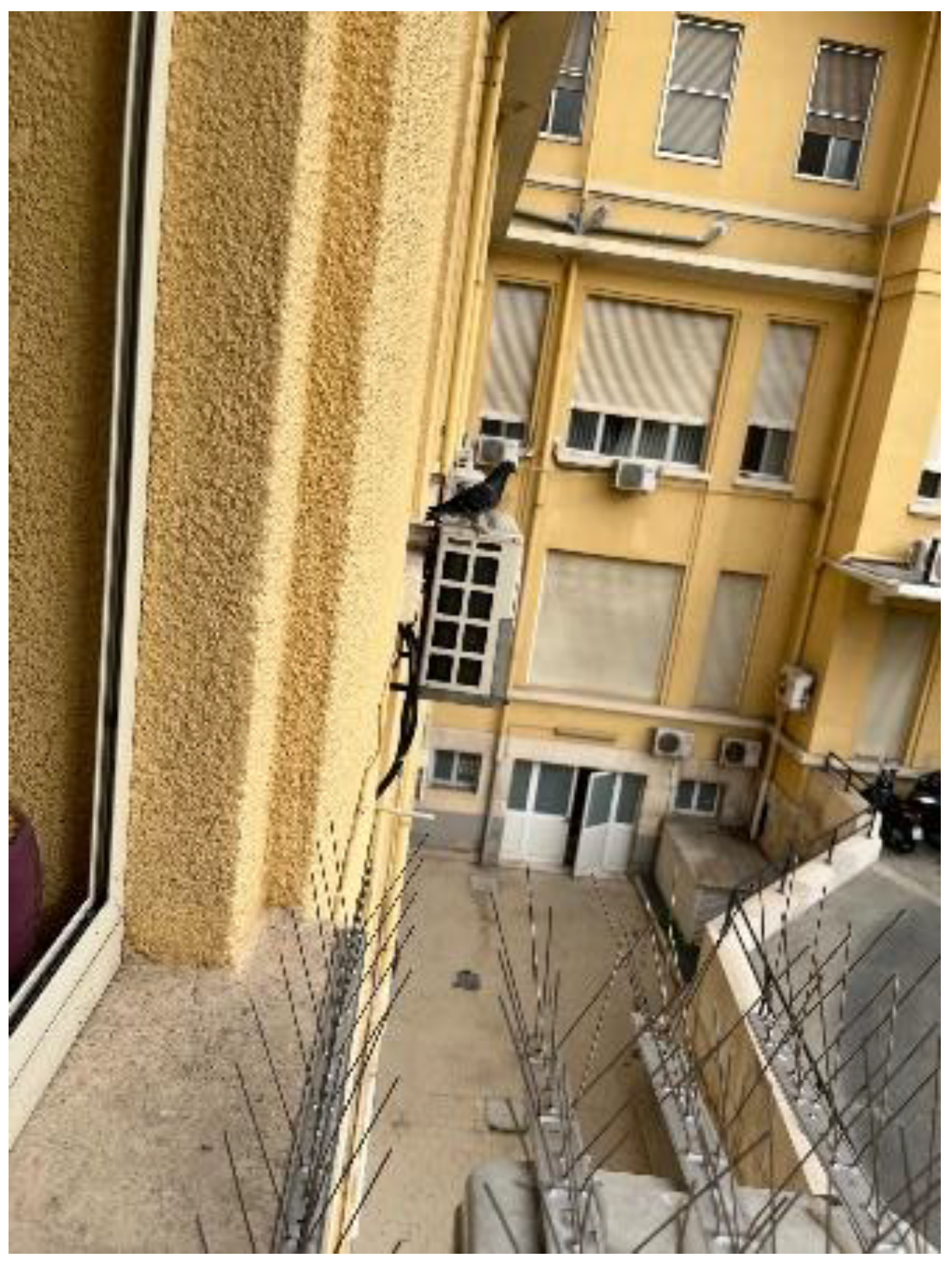 Pathogens 11 01396 g002 Pathogens 11 01396 g002