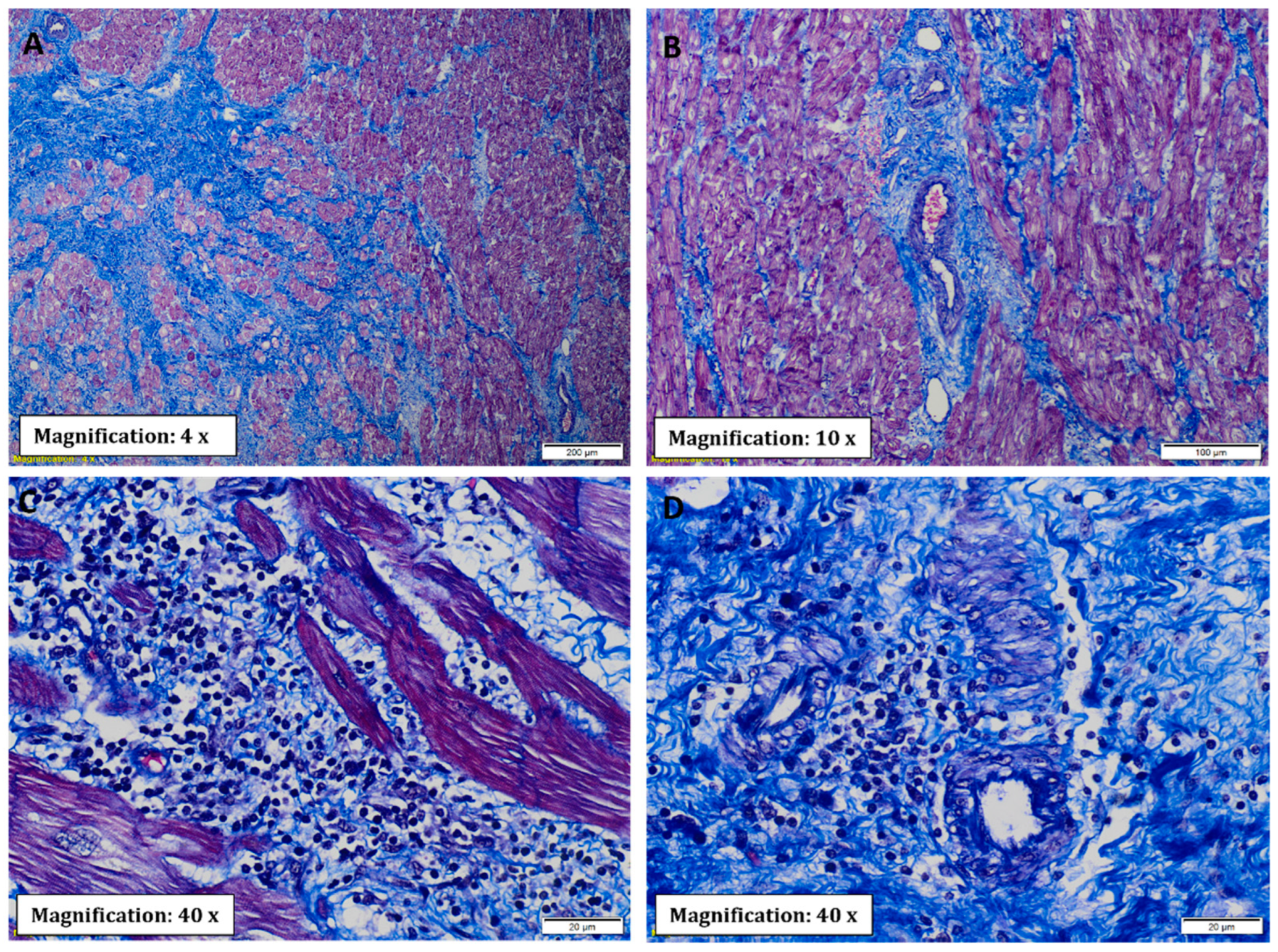 Pathogens 11 01402 g005