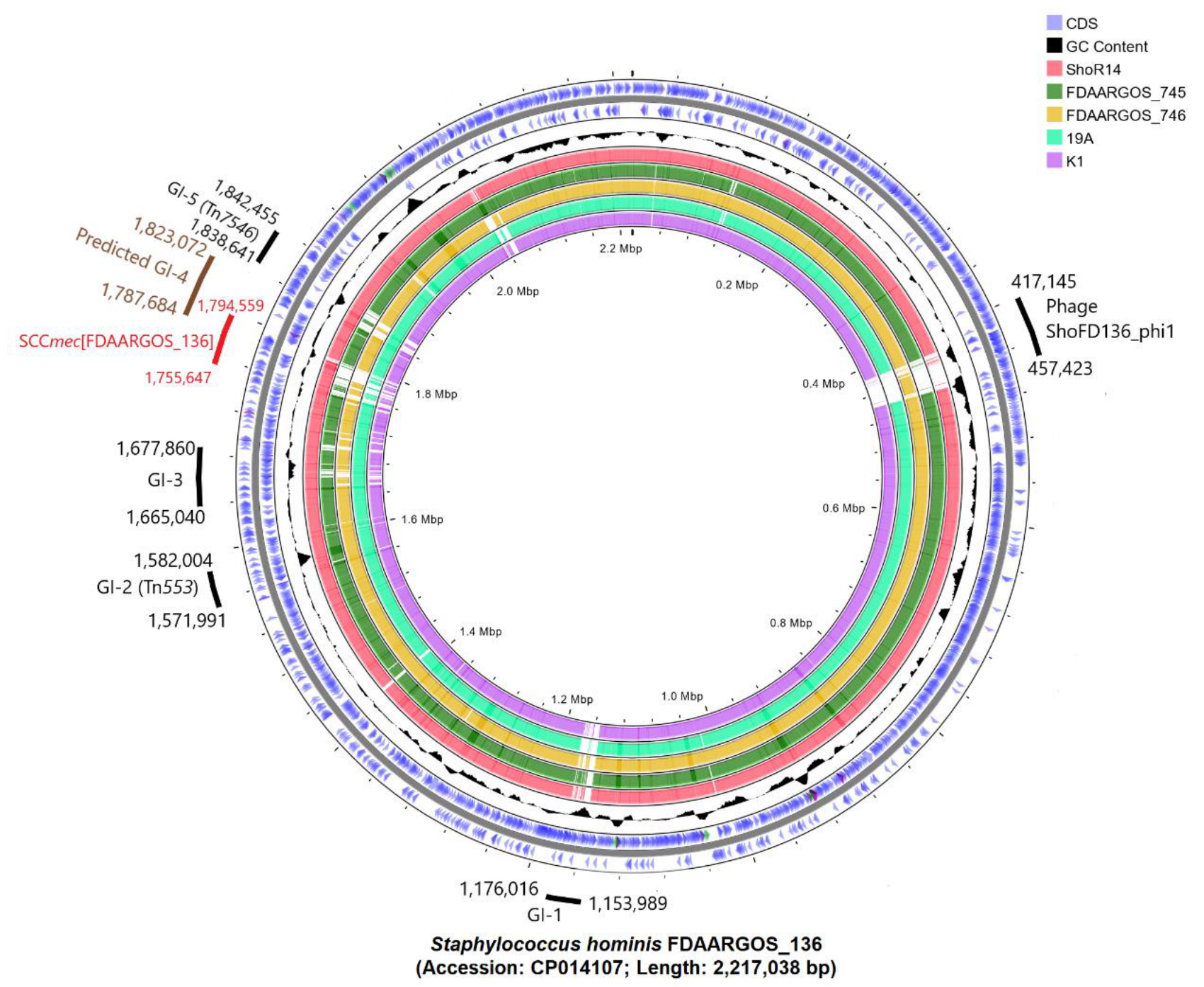 Pathogens 11 01406 g002