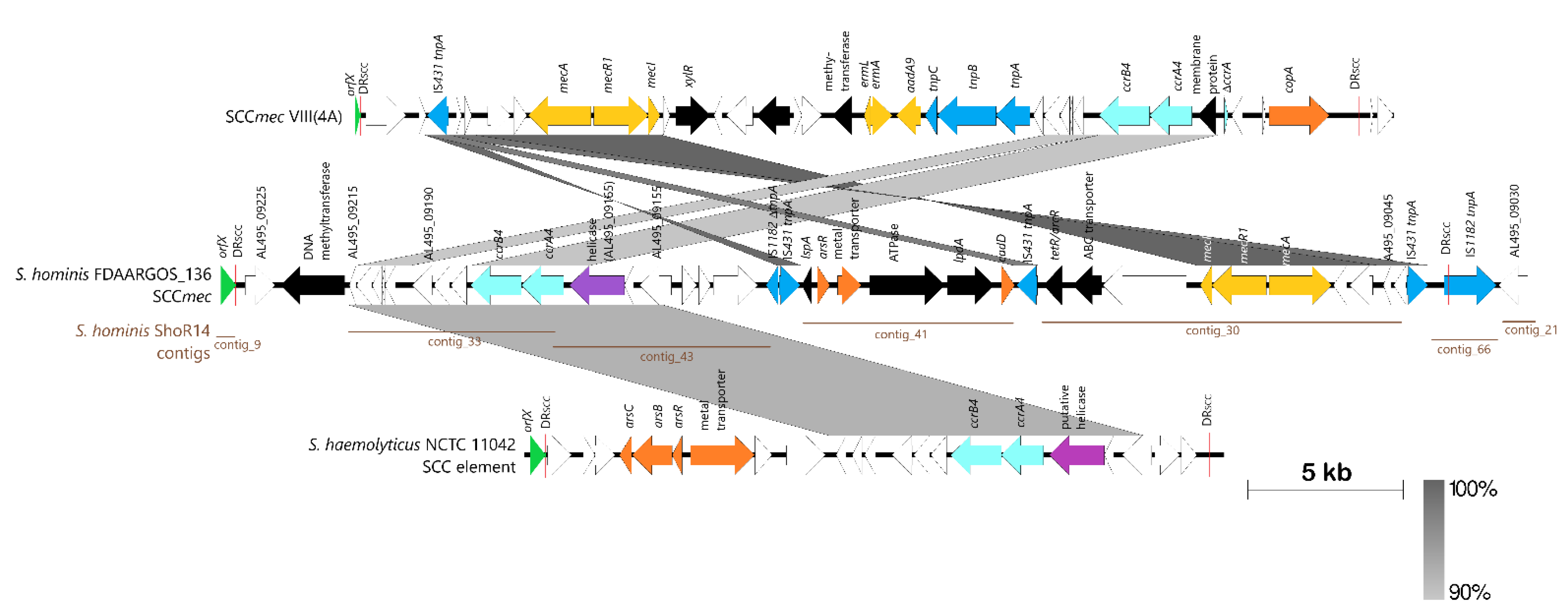 Pathogens 11 01406 g004