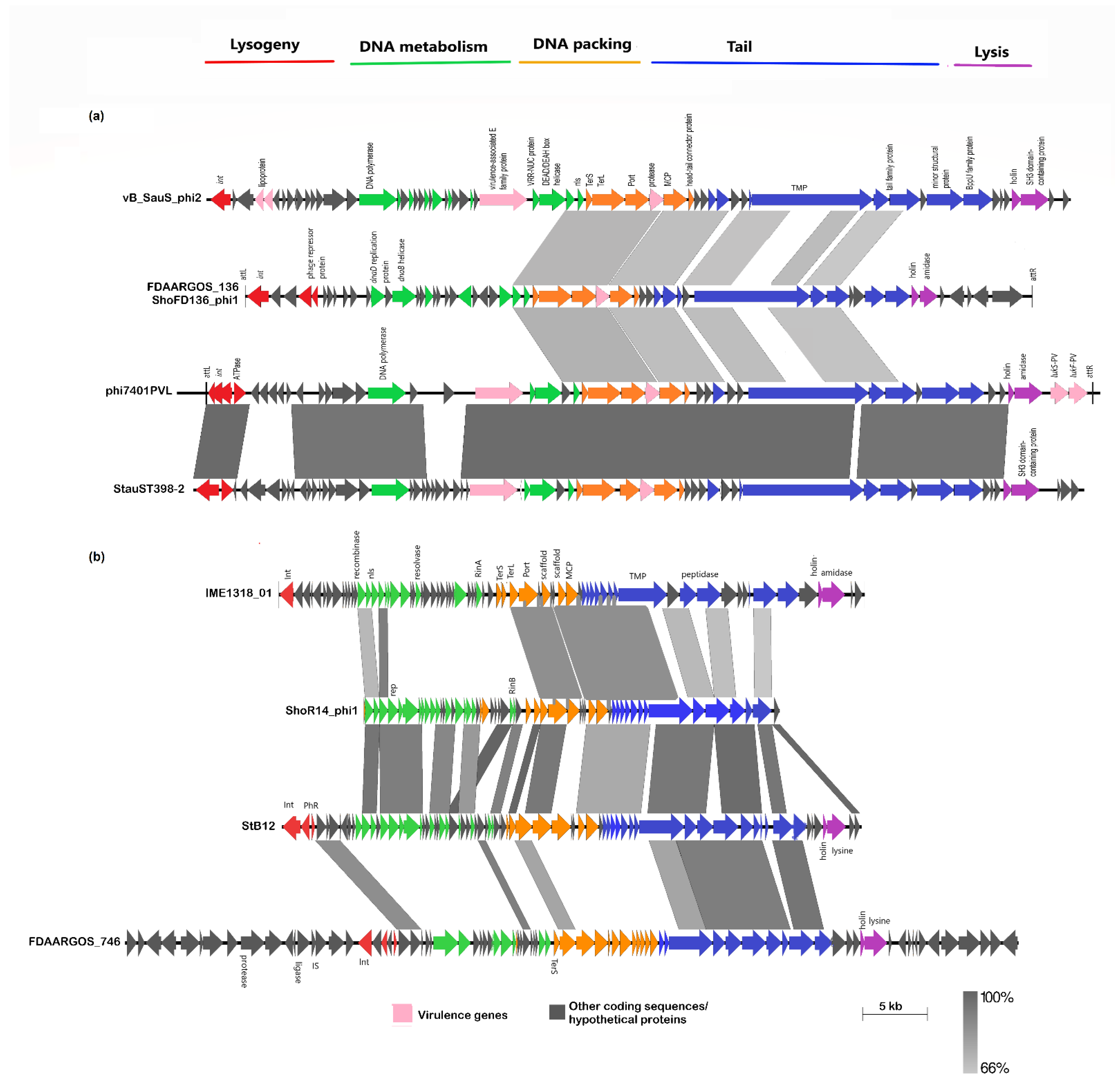 Pathogens 11 01406 g005