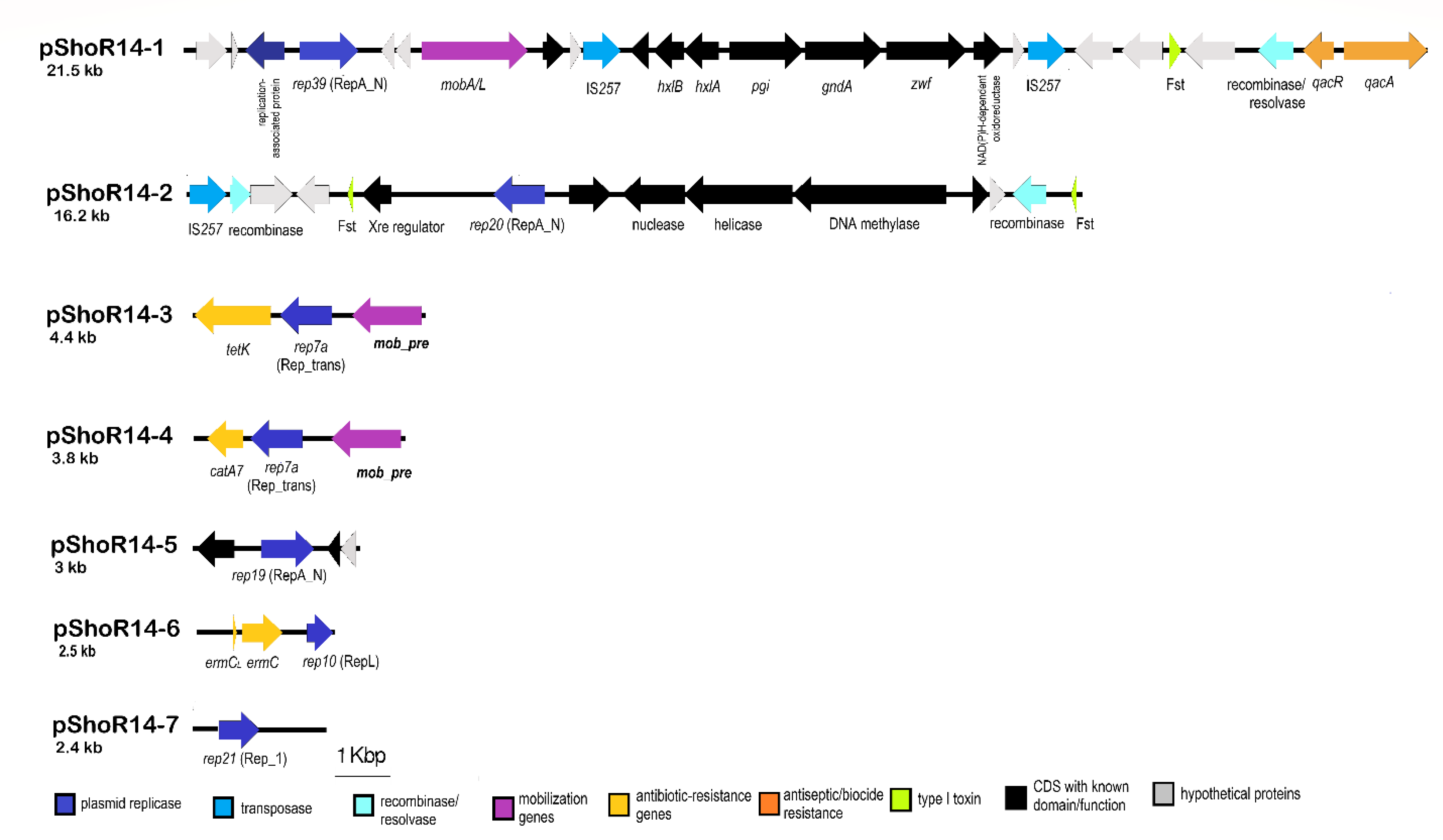 Pathogens 11 01406 g006