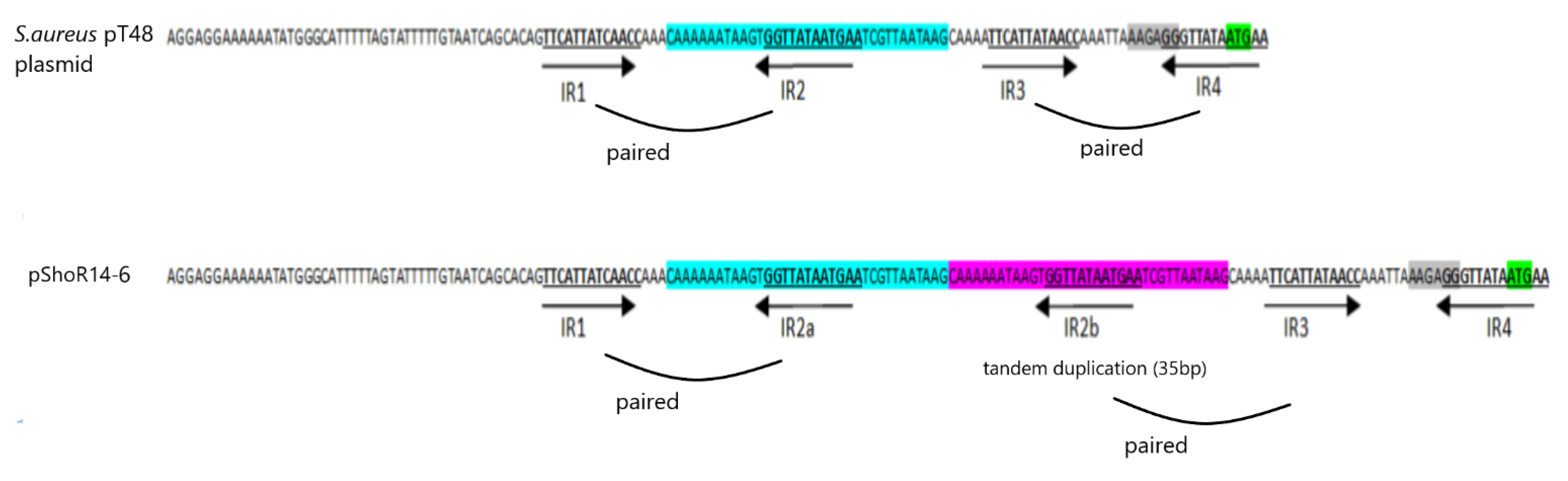 Pathogens 11 01406 g007
