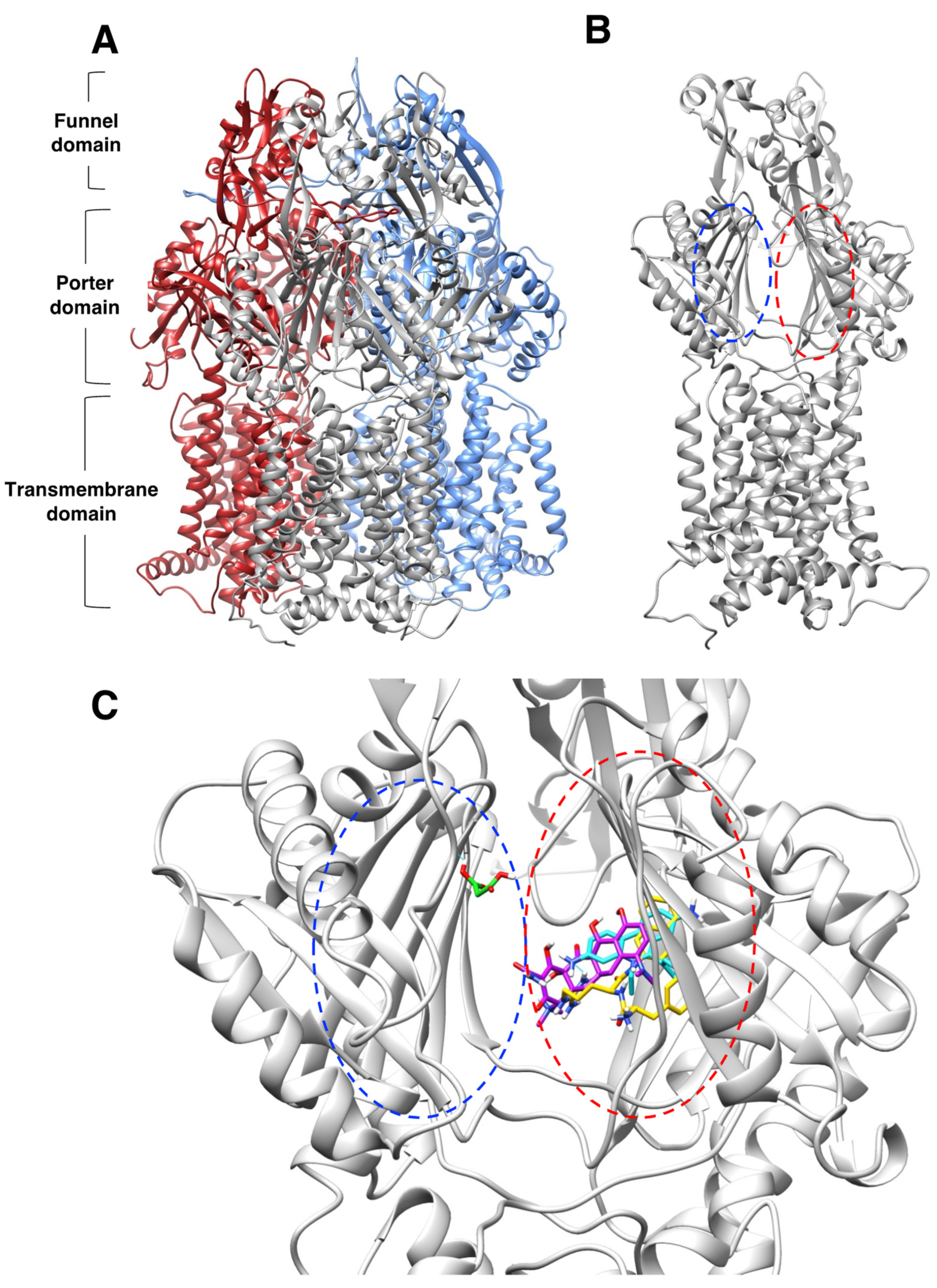 Pathogens 11 01409 g004