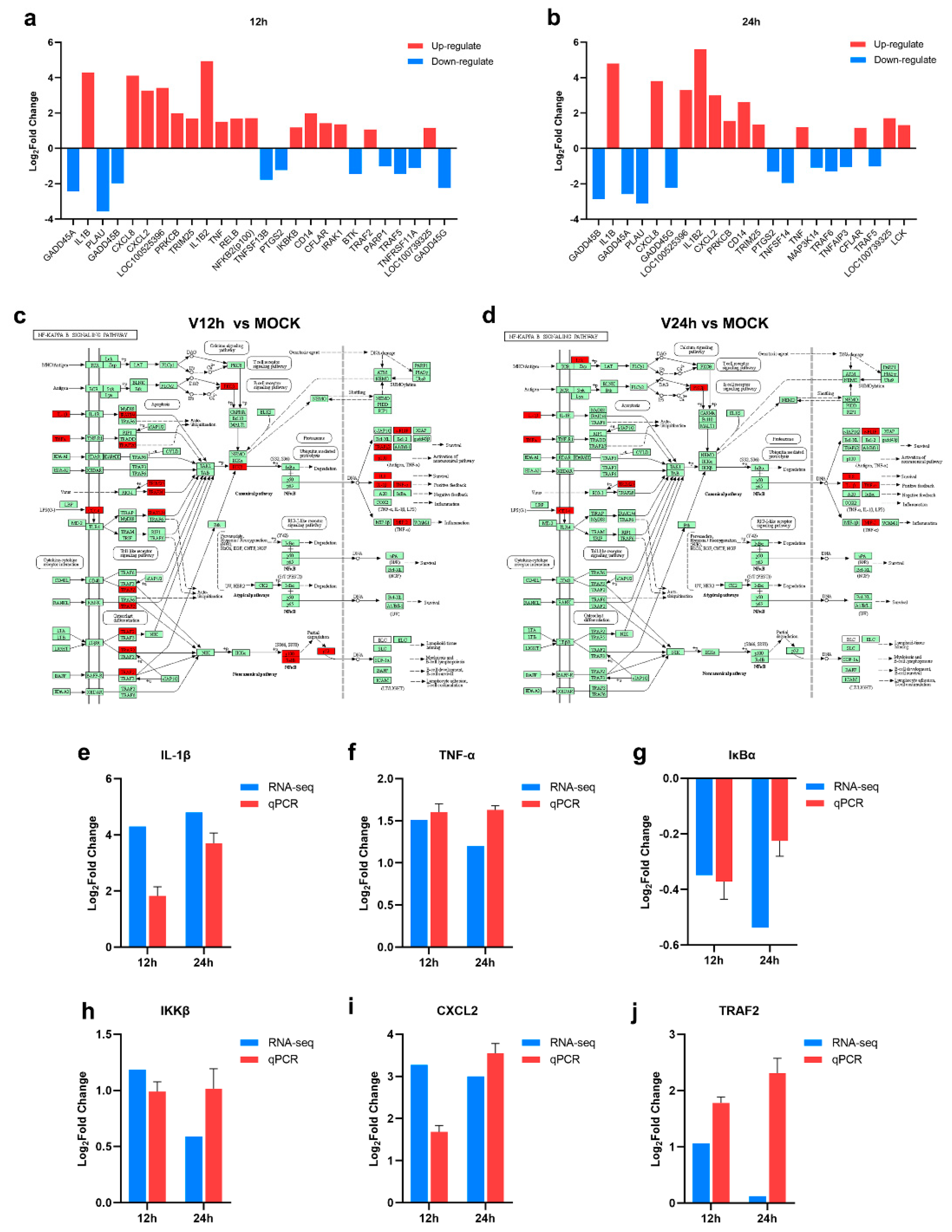 Pathogens 11 01411 g005