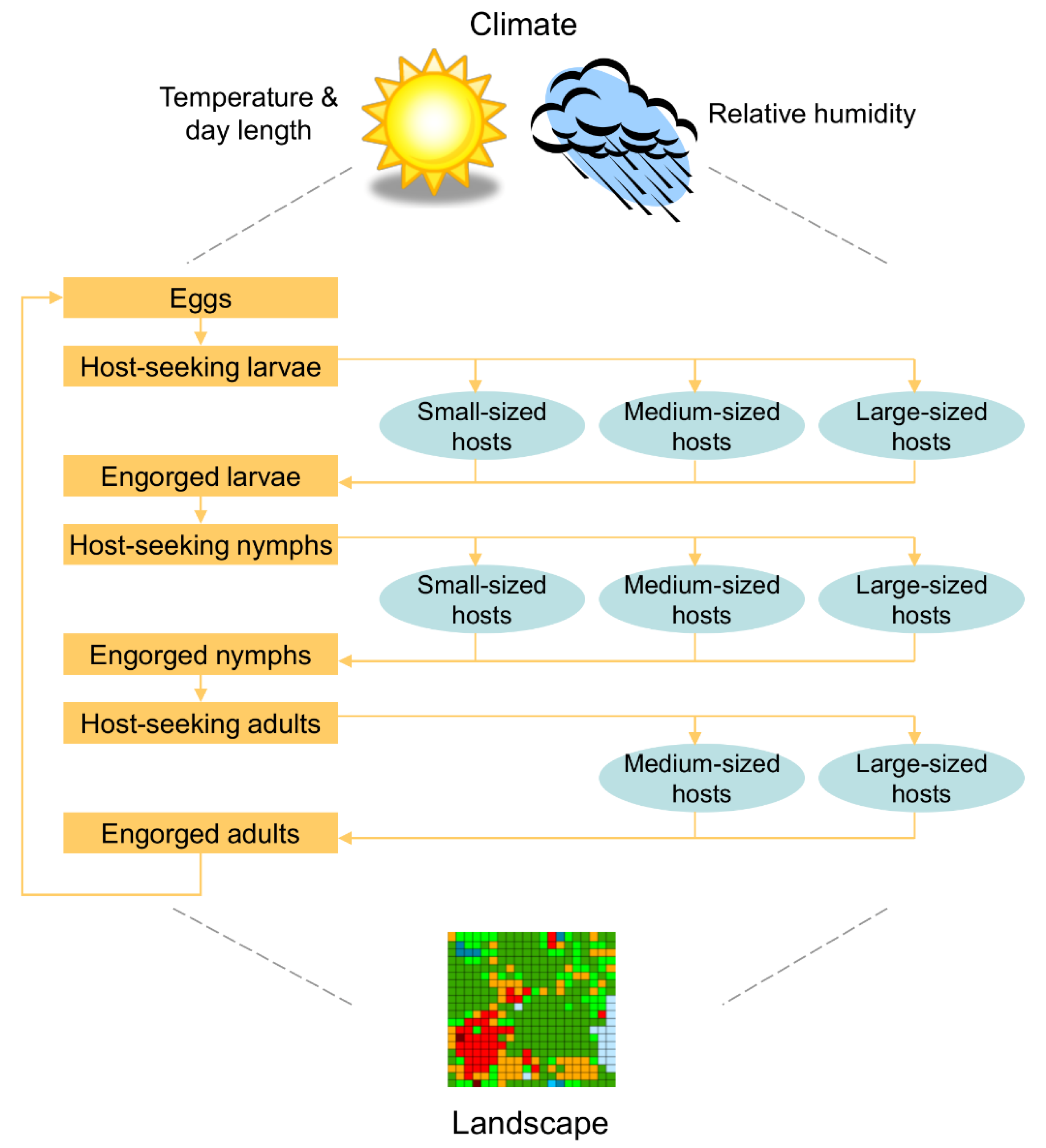 Pathogens 11 01412 g001