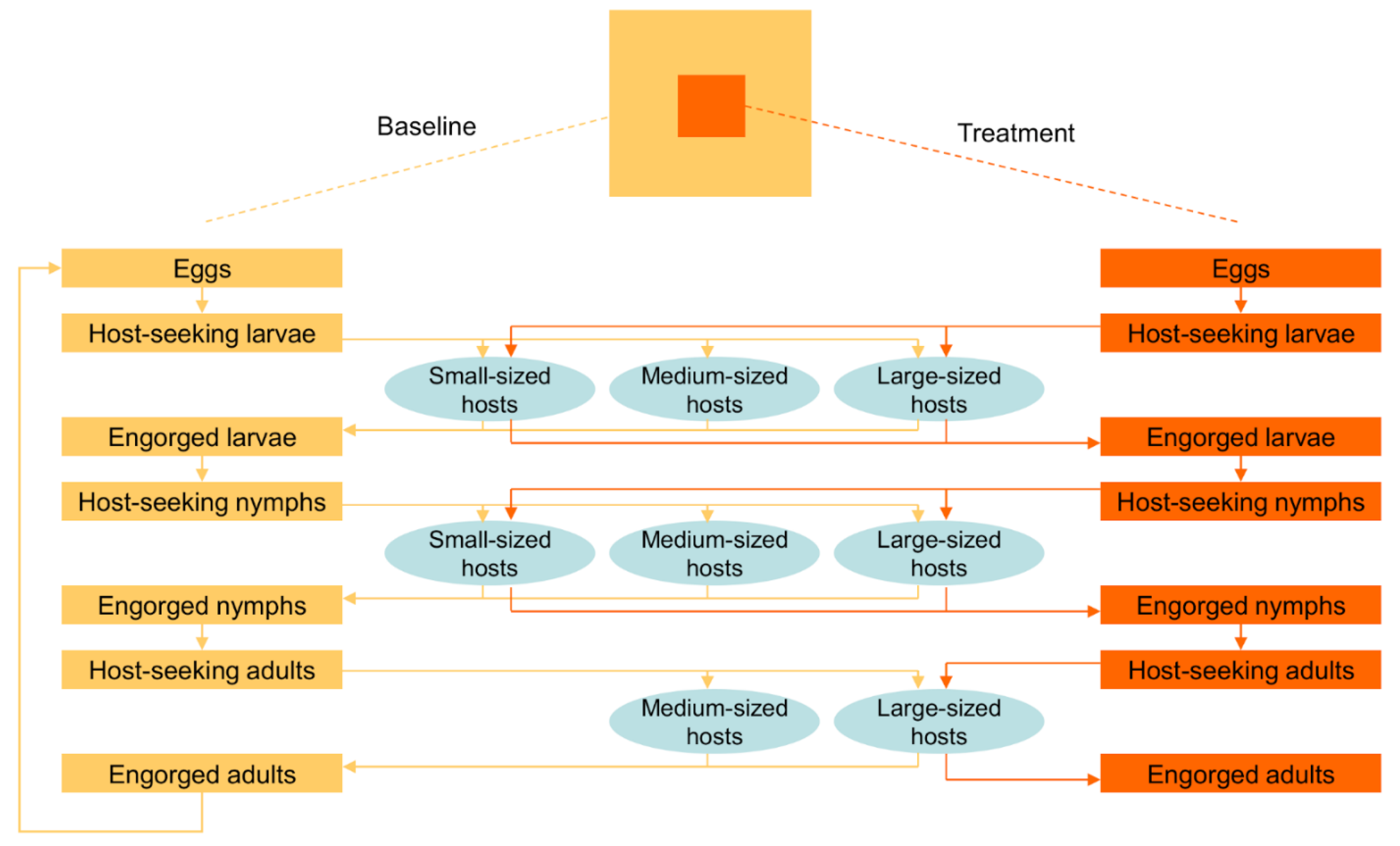 Pathogens 11 01412 g002