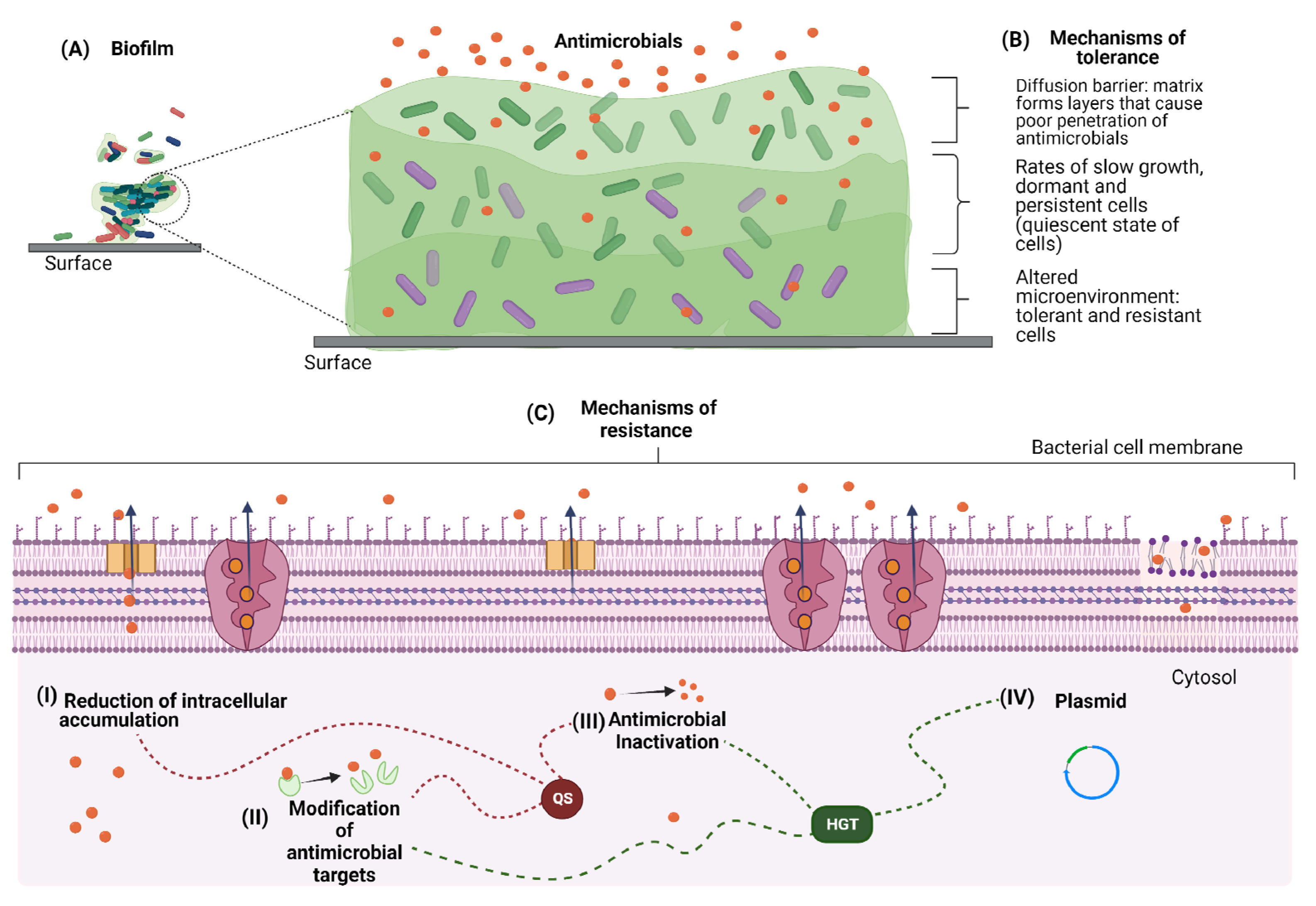 Pathogens 11 01416 g002