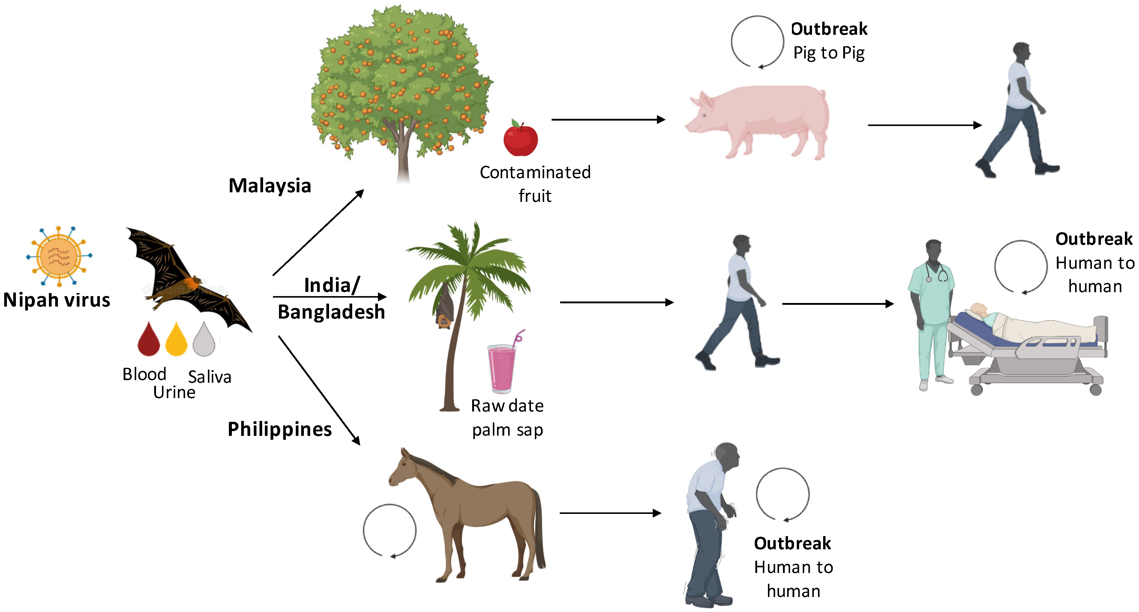 Pathogens 11 01419 g002