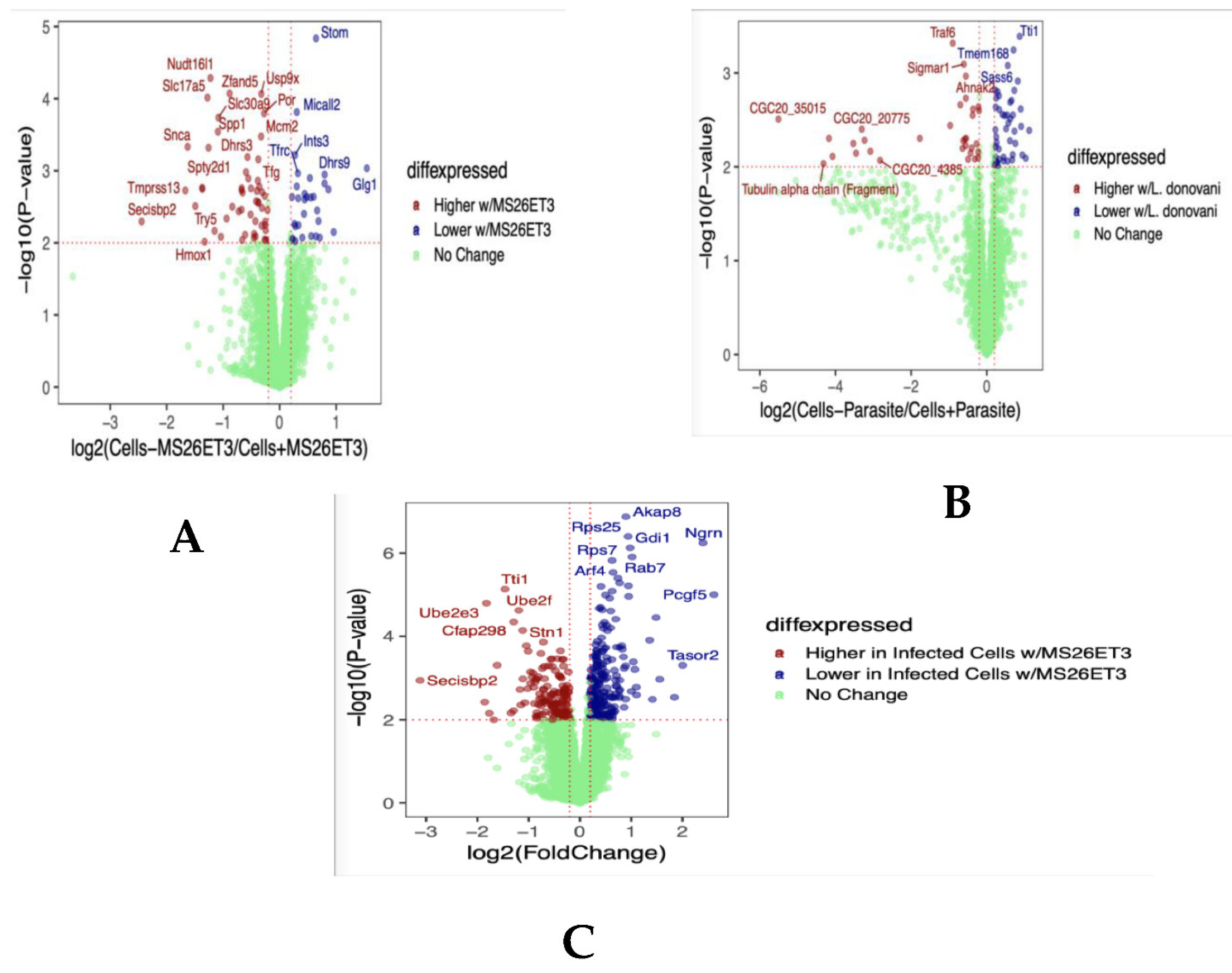 Pathogens 11 01424 g002