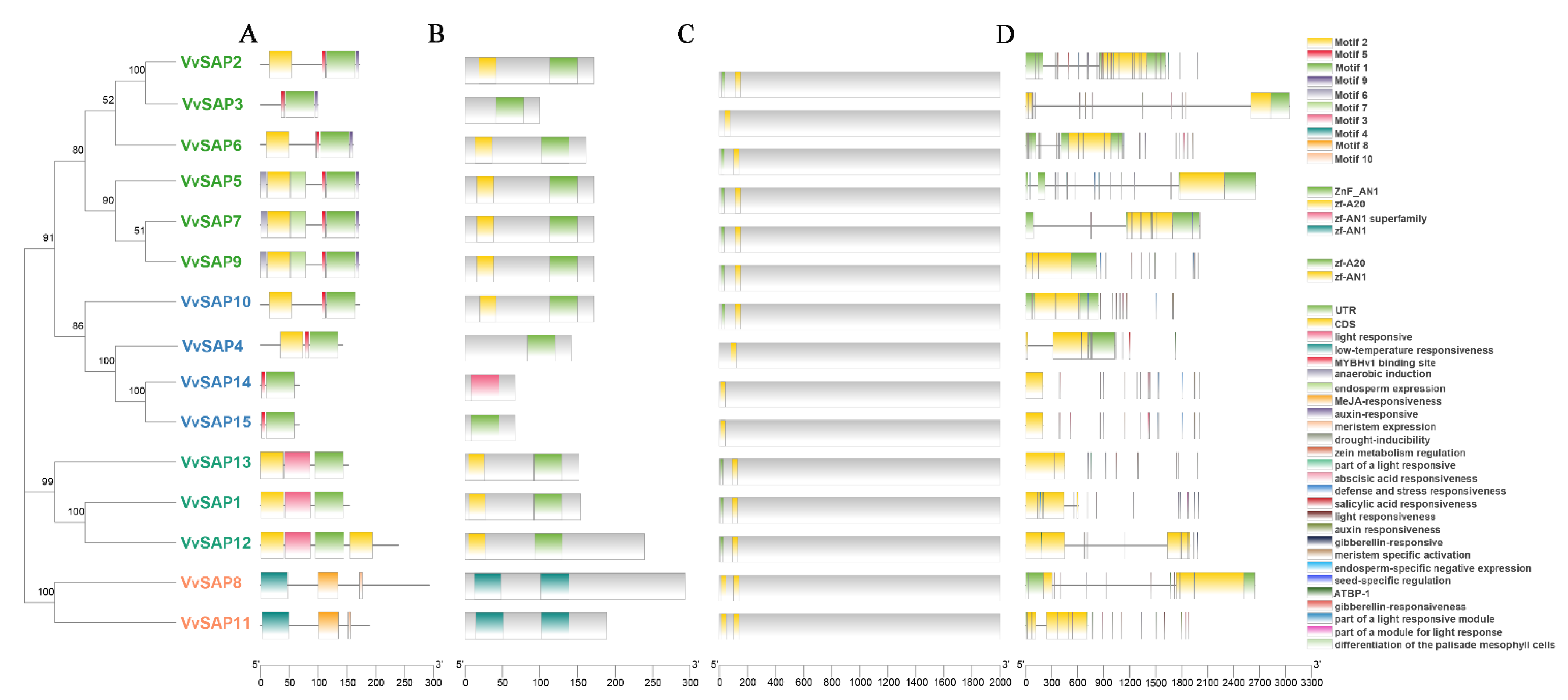 Pathogens 11 01426 g001