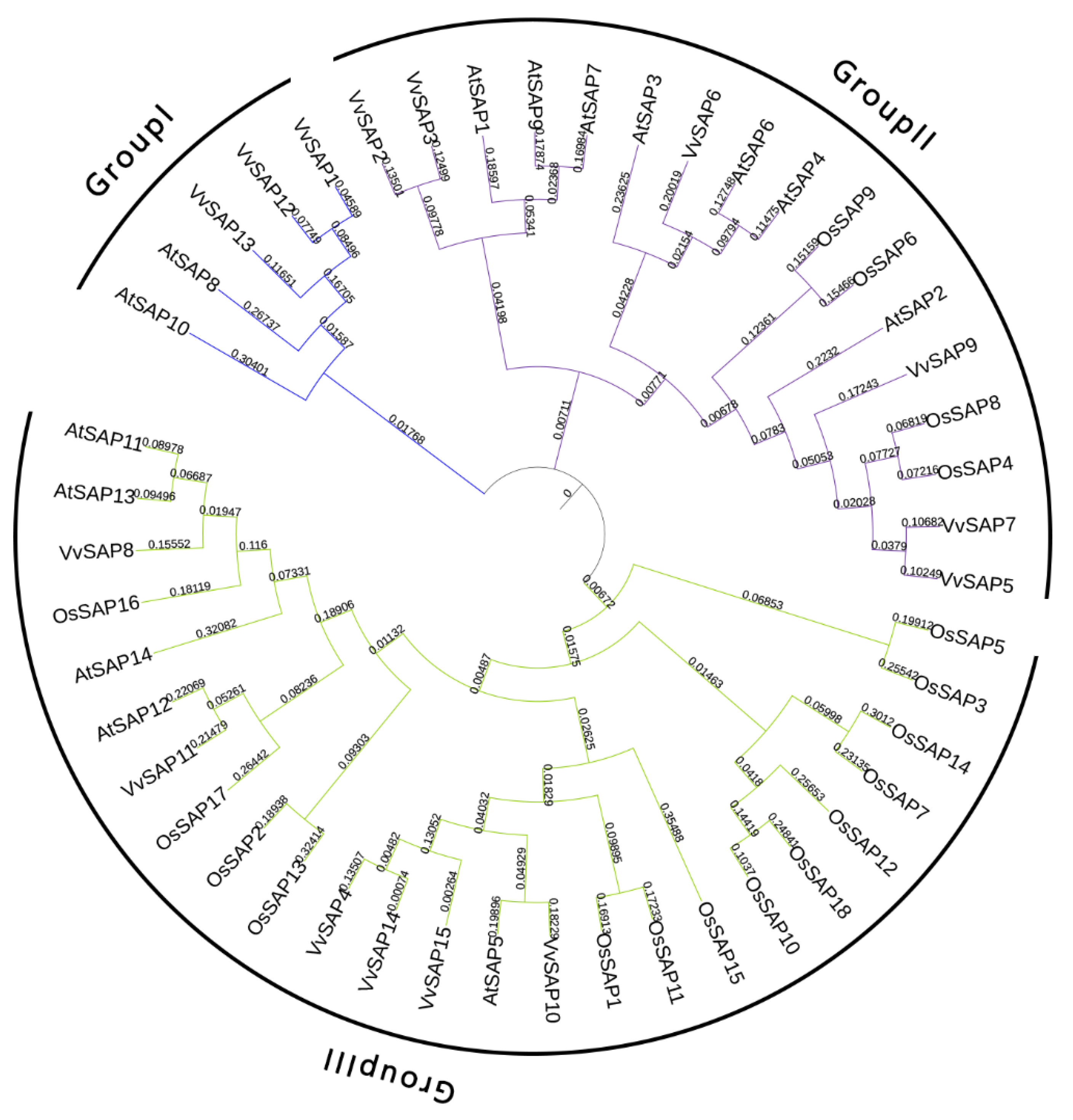 Pathogens 11 01426 g003