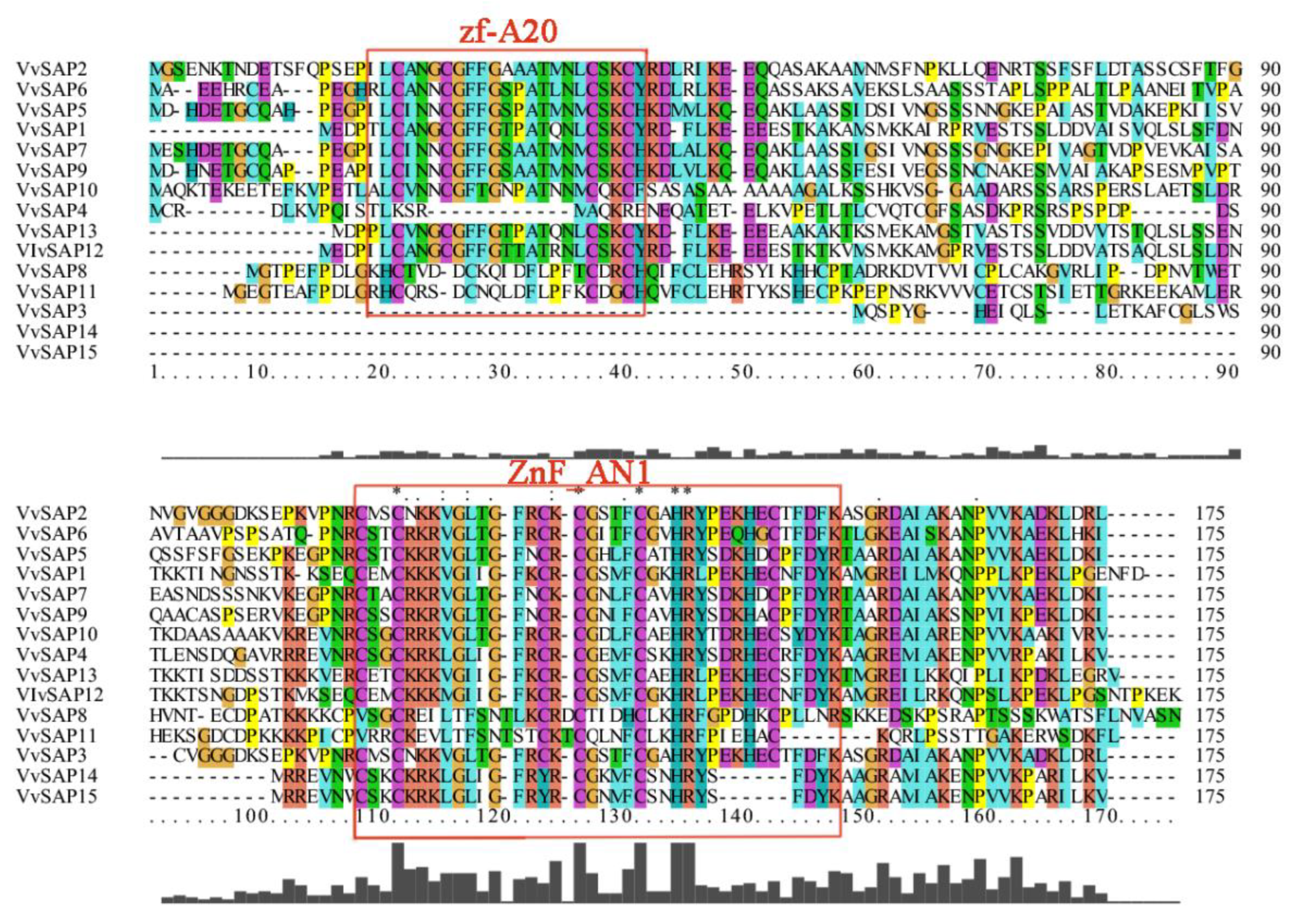 Pathogens 11 01426 g004