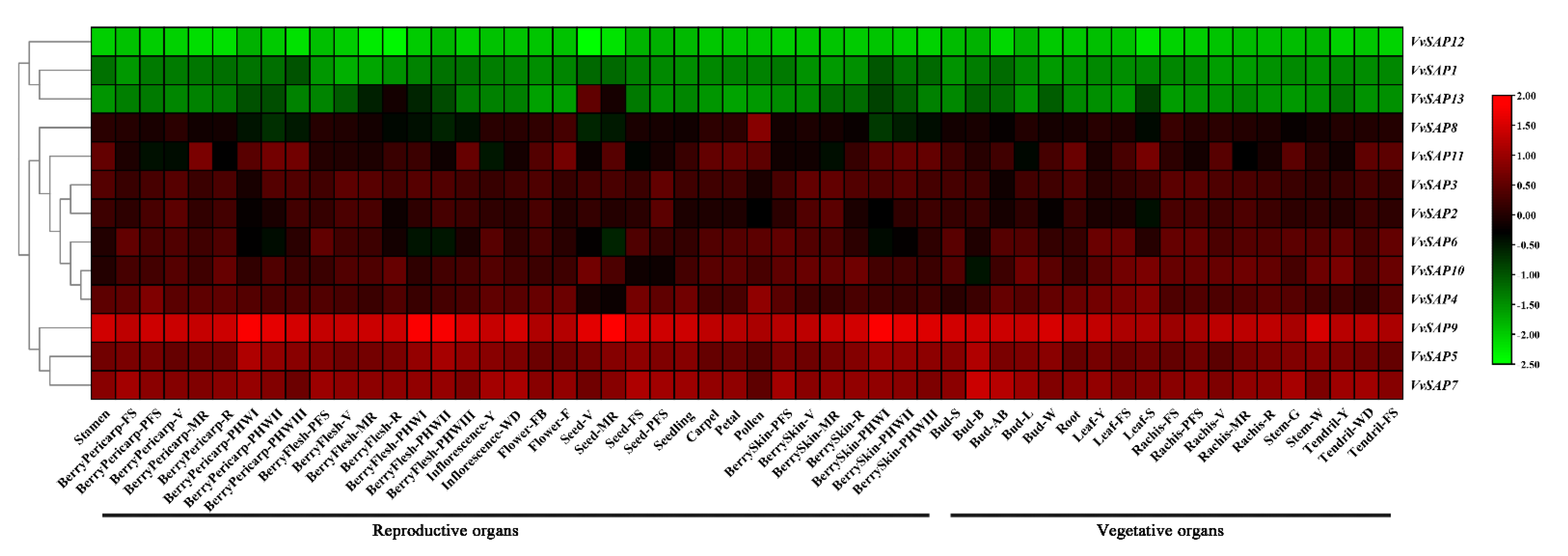 Pathogens 11 01426 g005