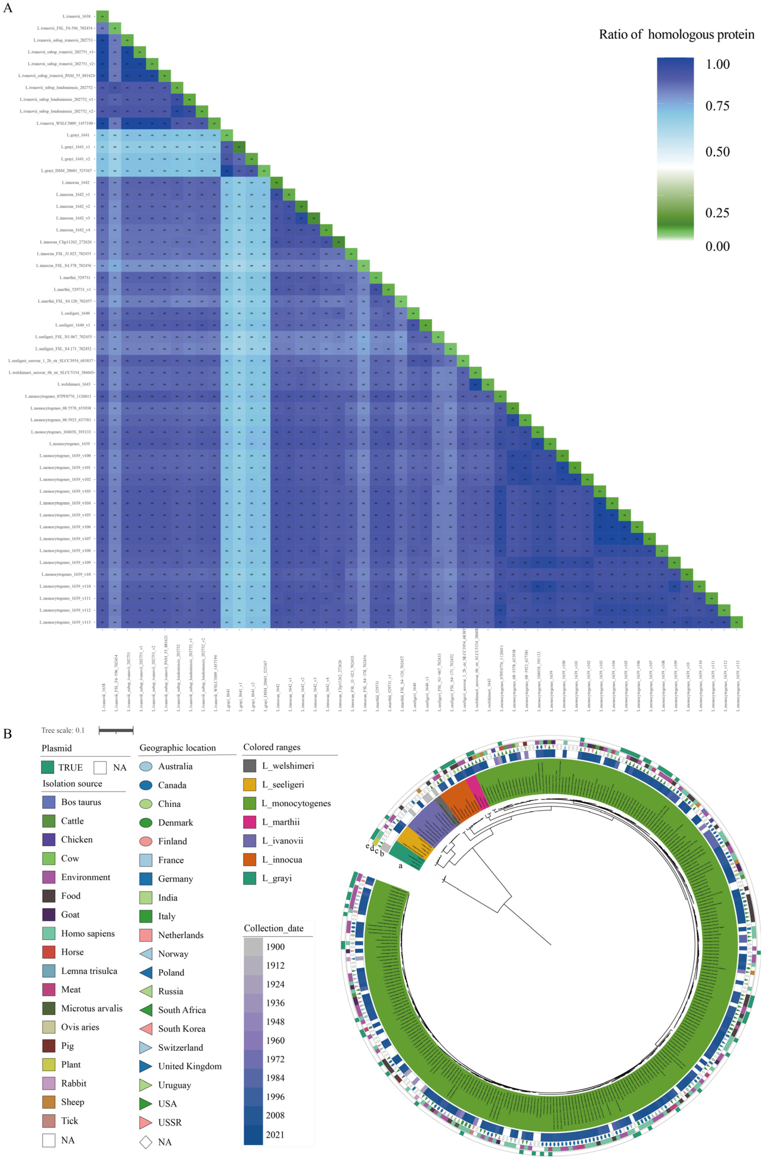 Pathogens 11 01430 g001