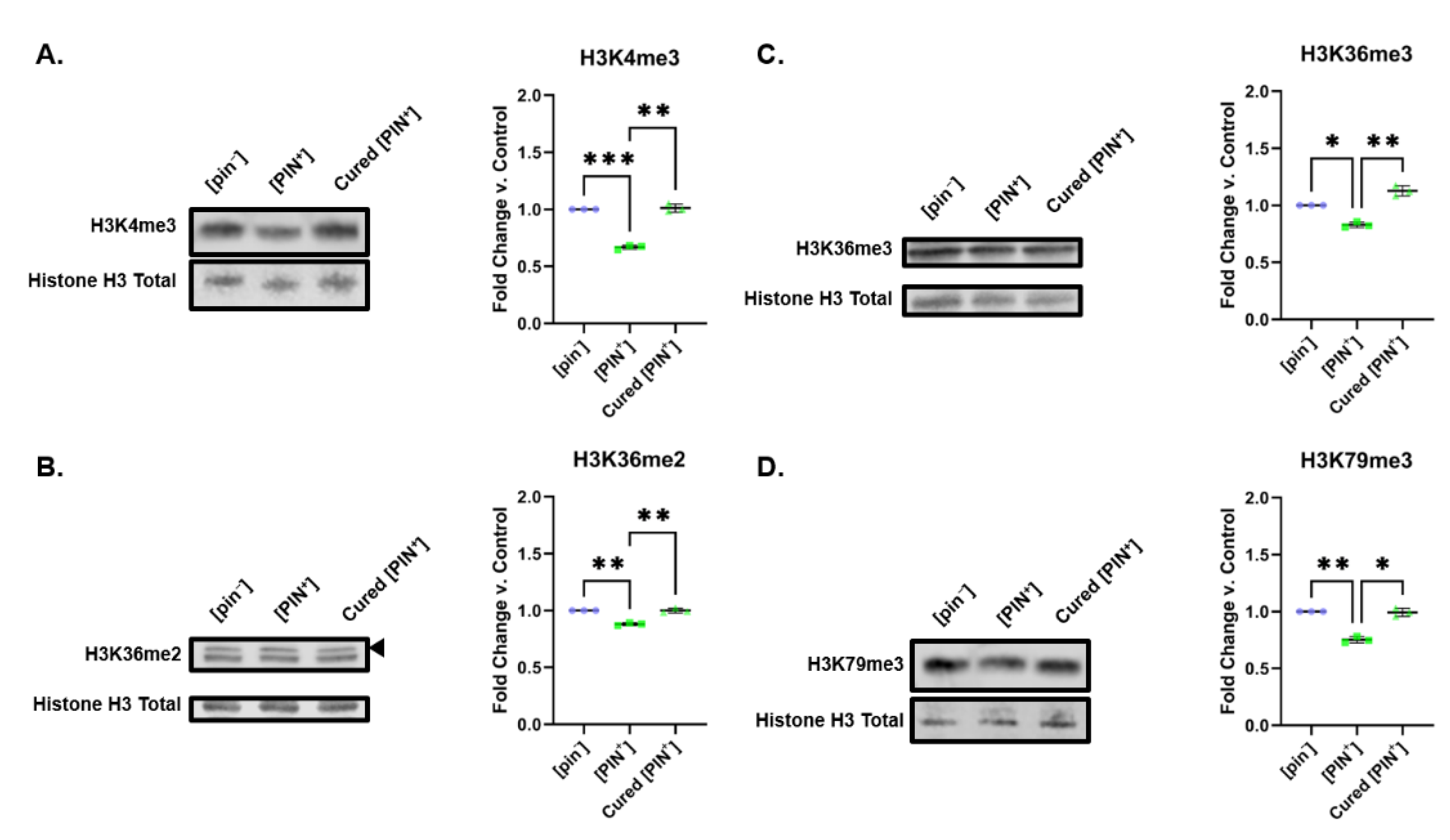 Pathogens 11 01436 g006