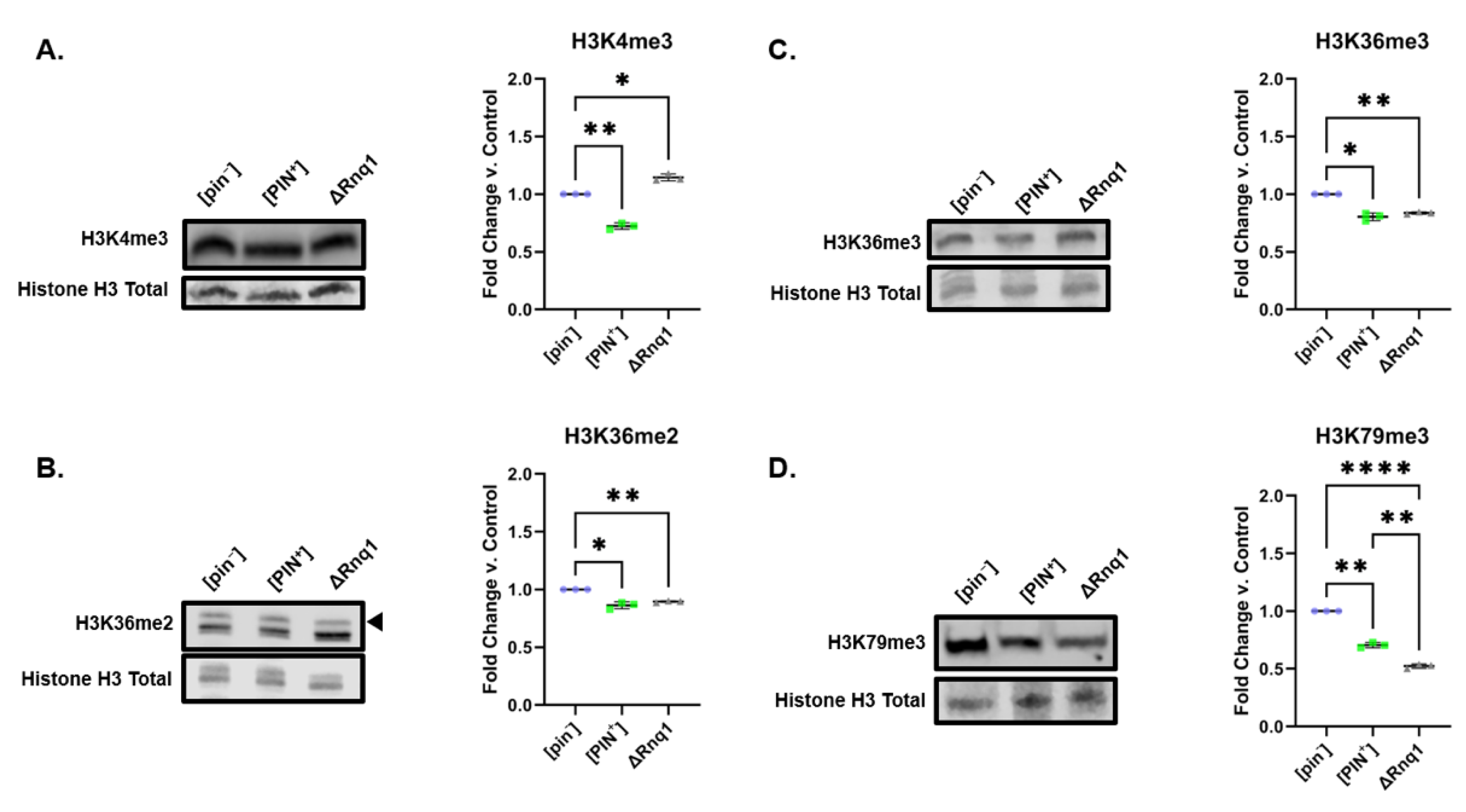 Pathogens 11 01436 g007