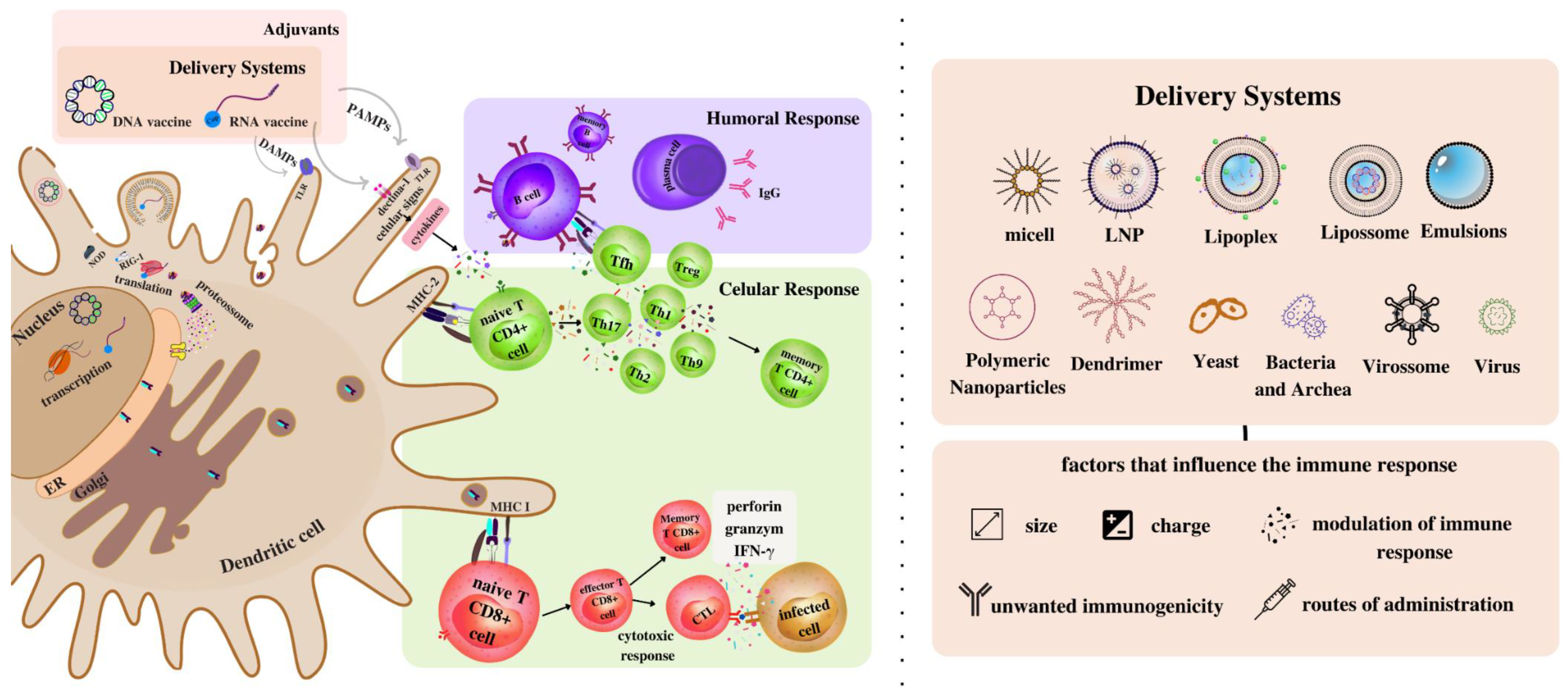 Pathogens 11 01444 g002