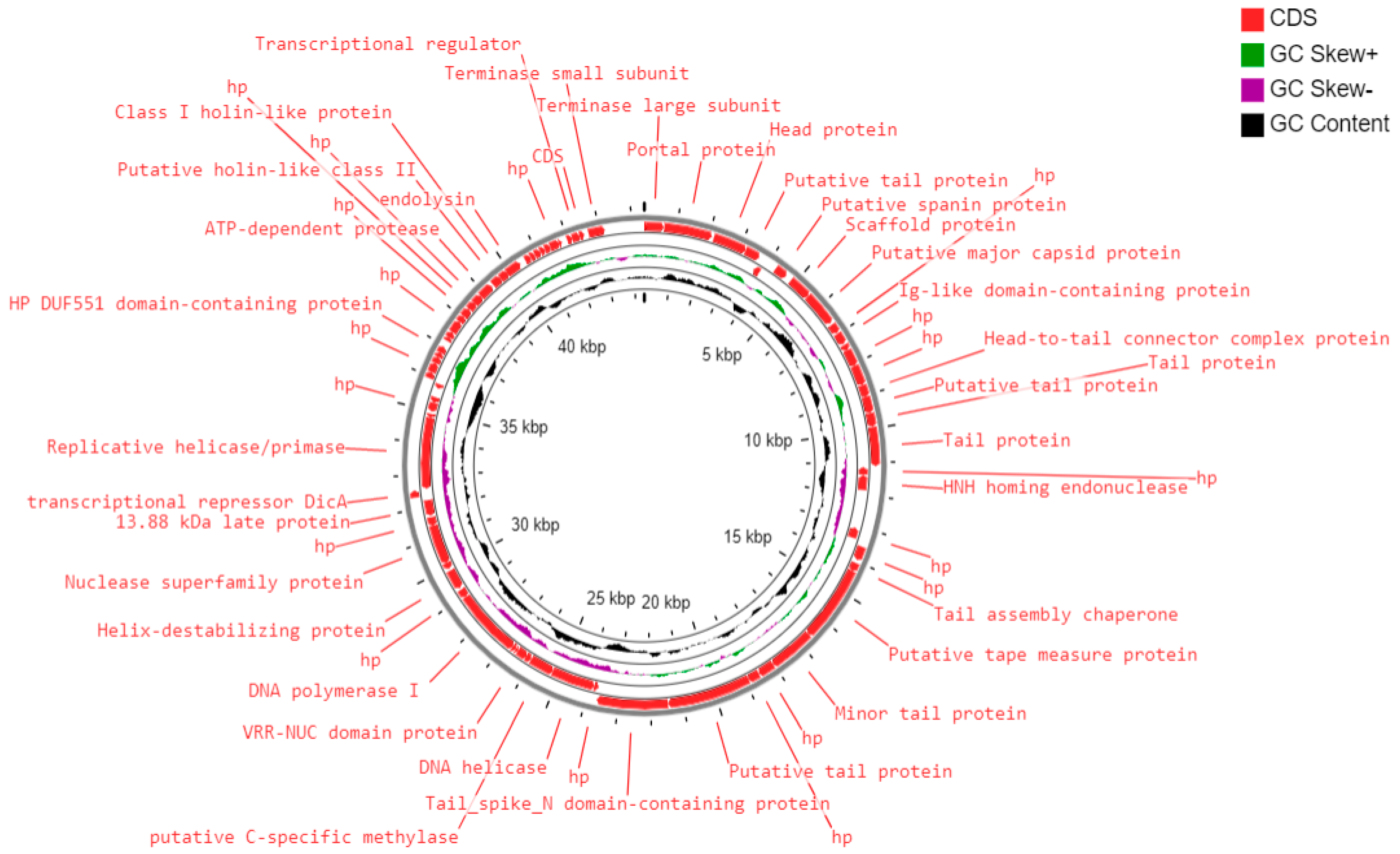 Pathogens 11 01448 g006 Pathogens 11 01448 g006