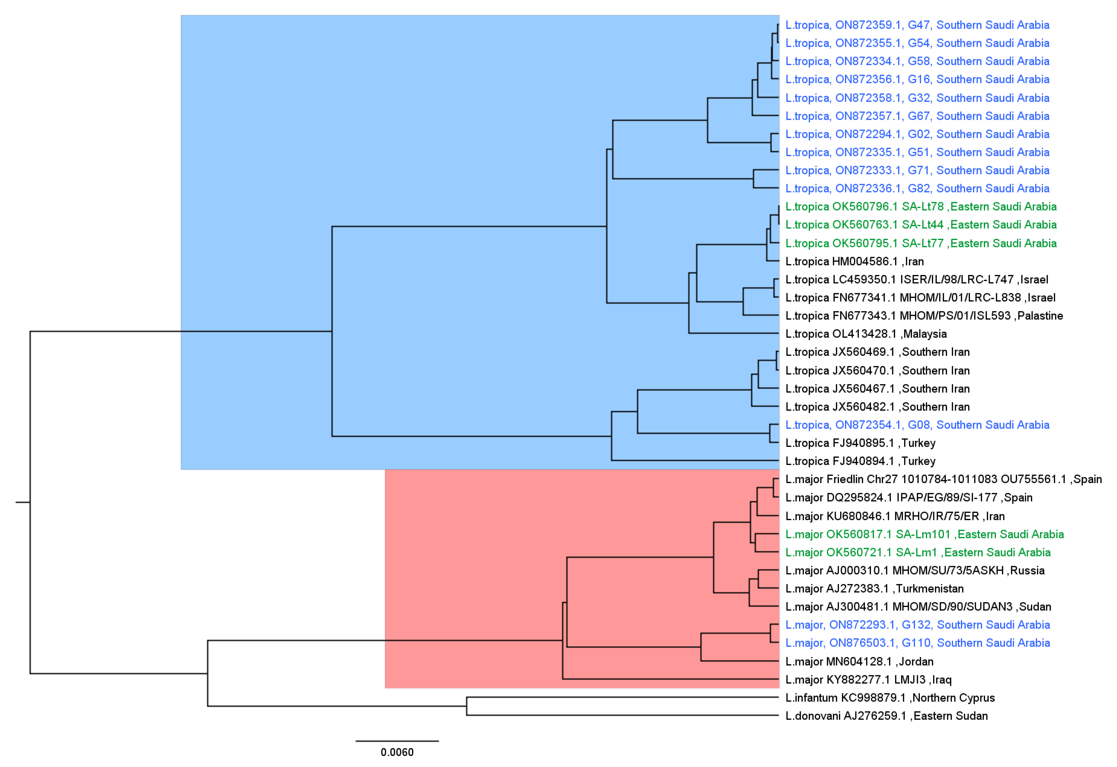 Pathogens 11 01472 g006