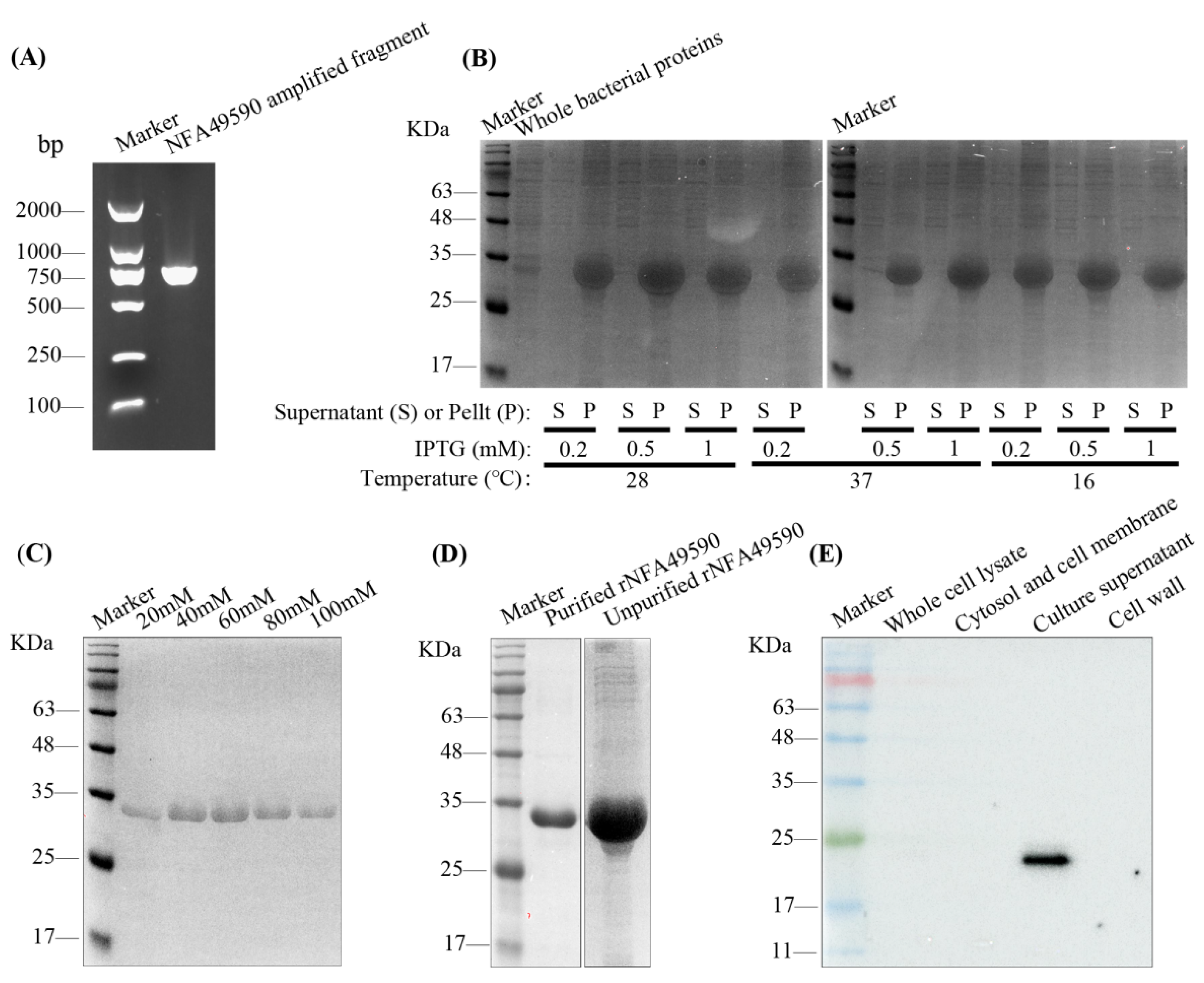 Pathogens 11 01488 g001