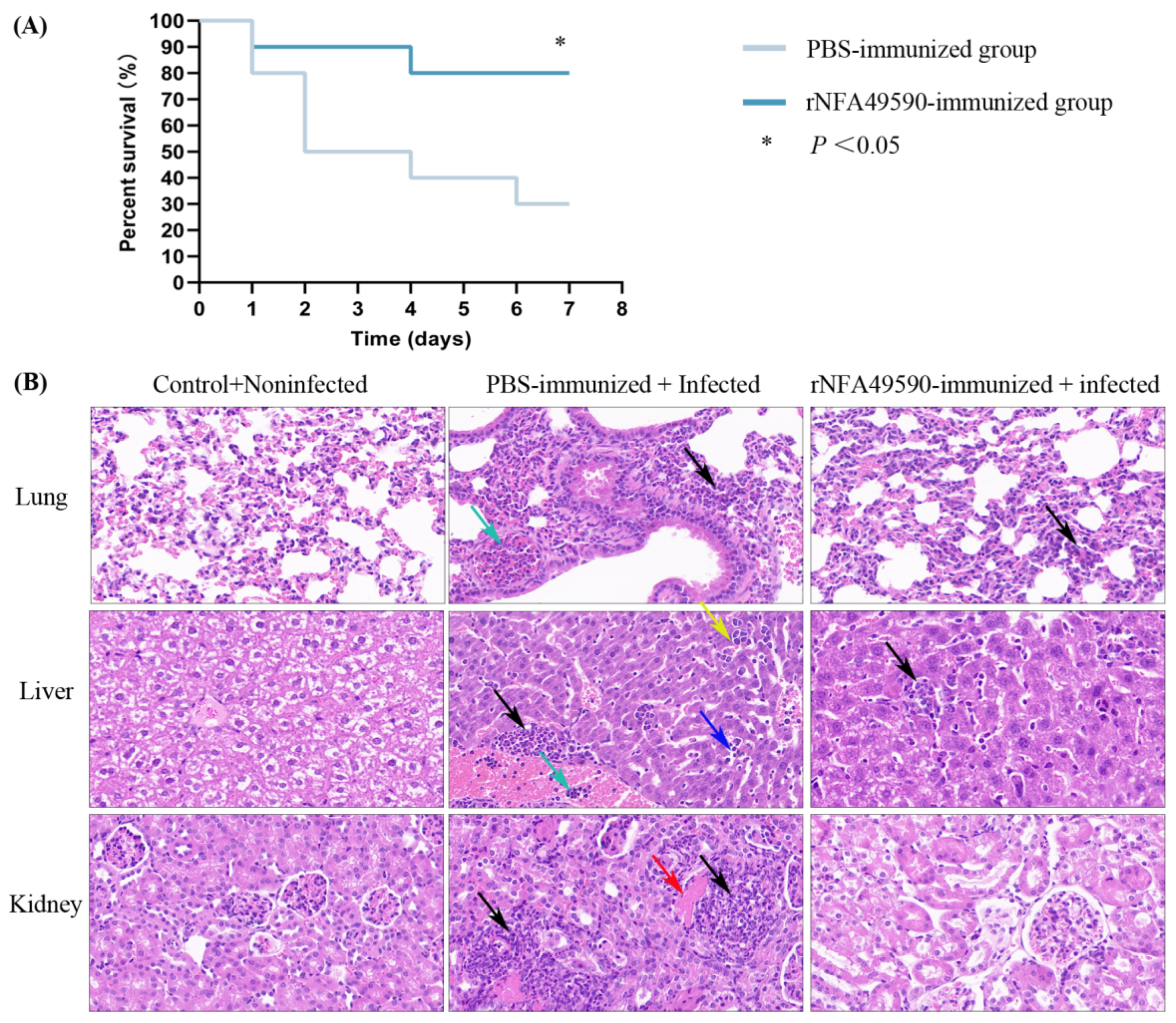 Pathogens 11 01488 g006