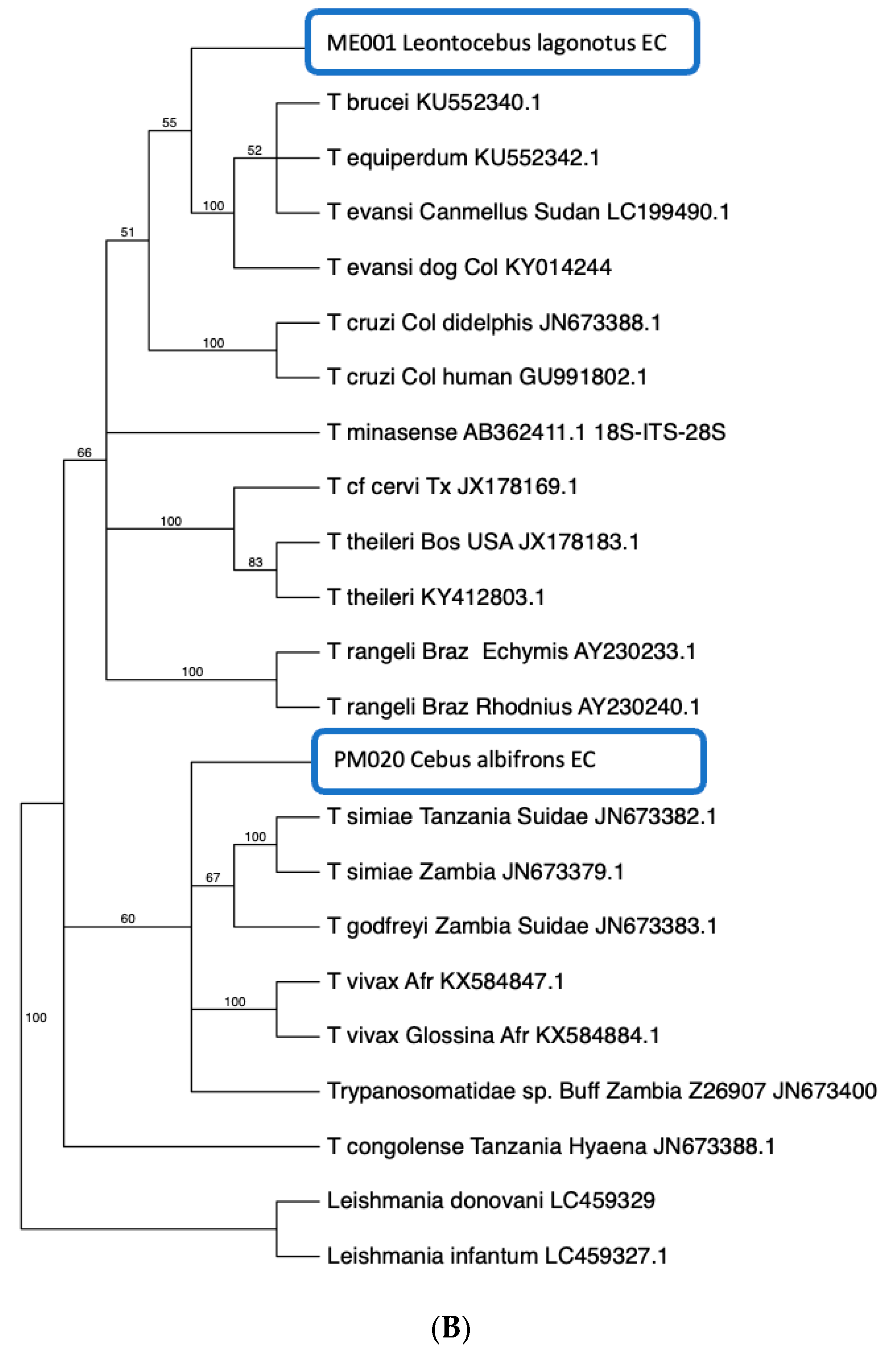 Pathogens 11 01490 g002b Pathogens 11 01490 g002b