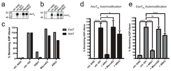Pathogens 11 01497 g004