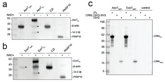 Pathogens 11 01497 g005