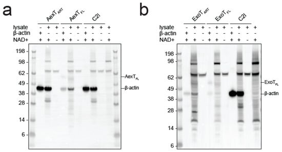 Pathogens 11 01497 g006