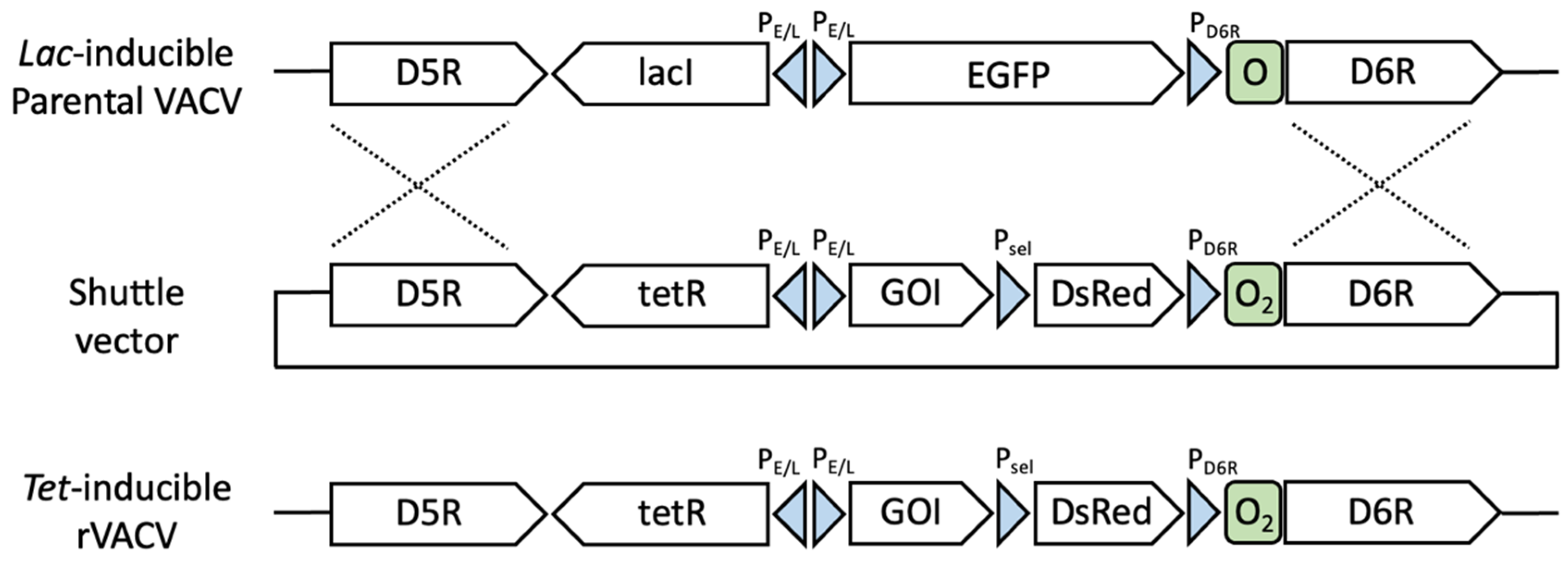 Pathogens 11 01505 g001