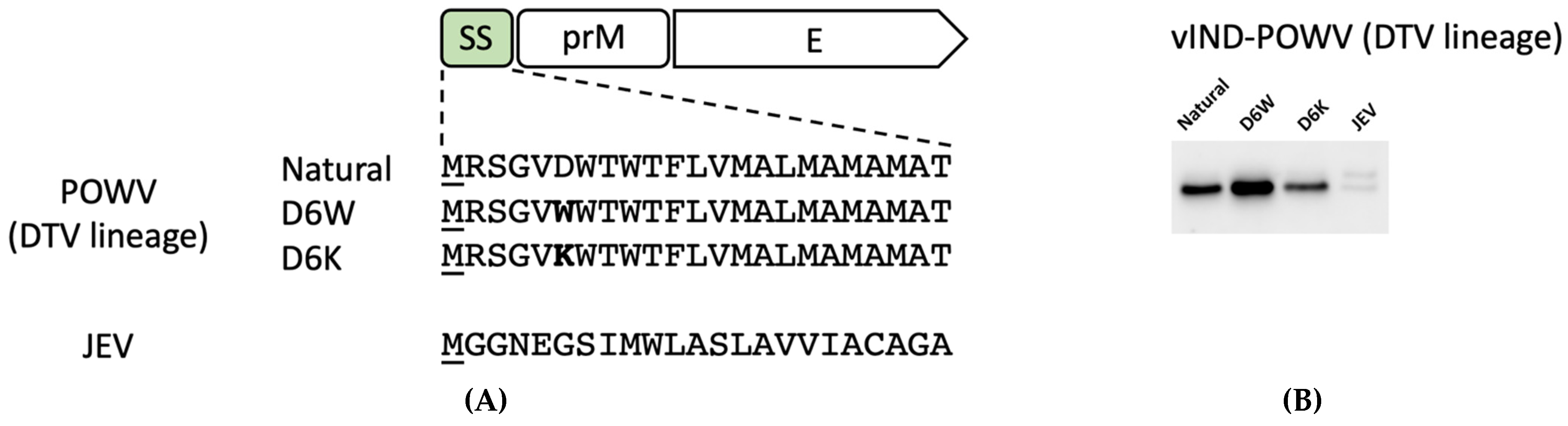 Pathogens 11 01505 g004