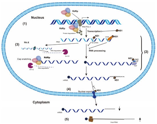 Pathogens 11 01521 g001