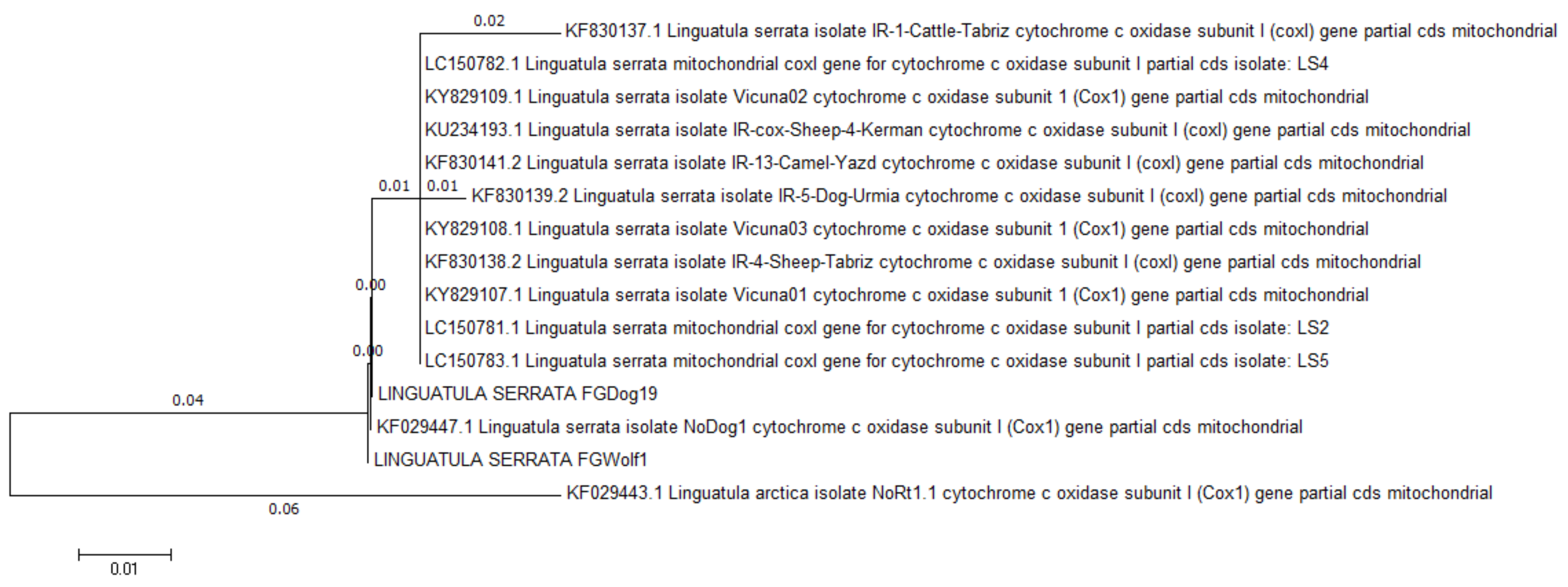 Pathogens 11 01523 g004 Pathogens 11 01523 g004