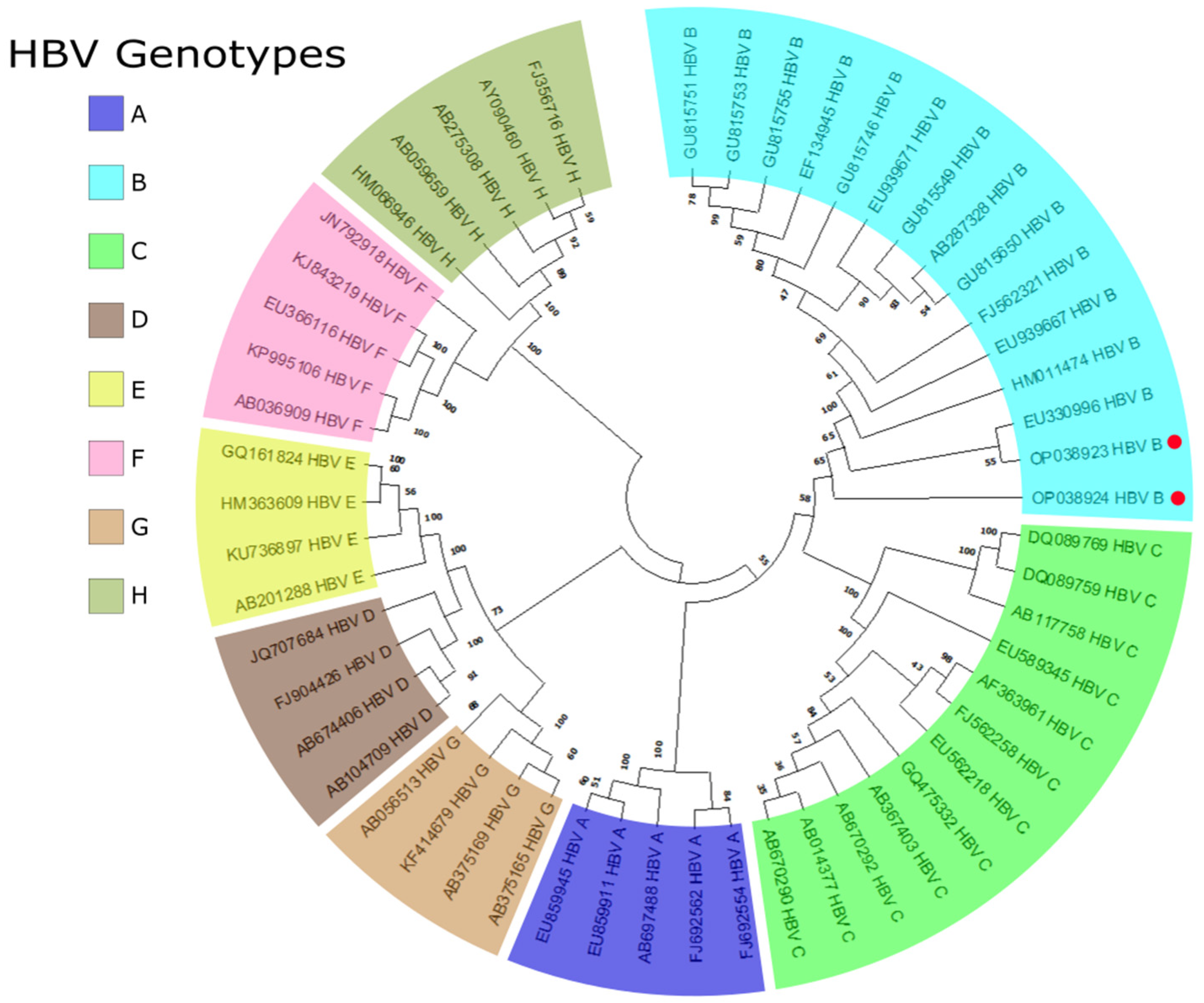 Pathogens 11 01524 g003
