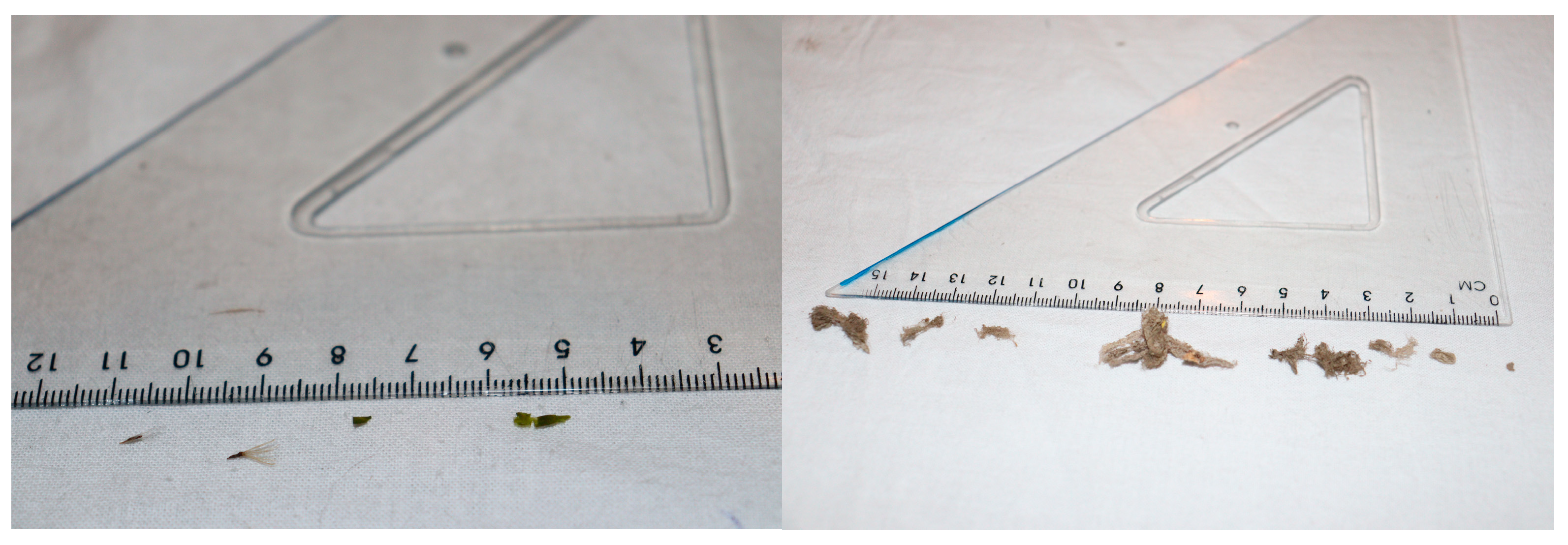 Pathogens 11 01534 g002