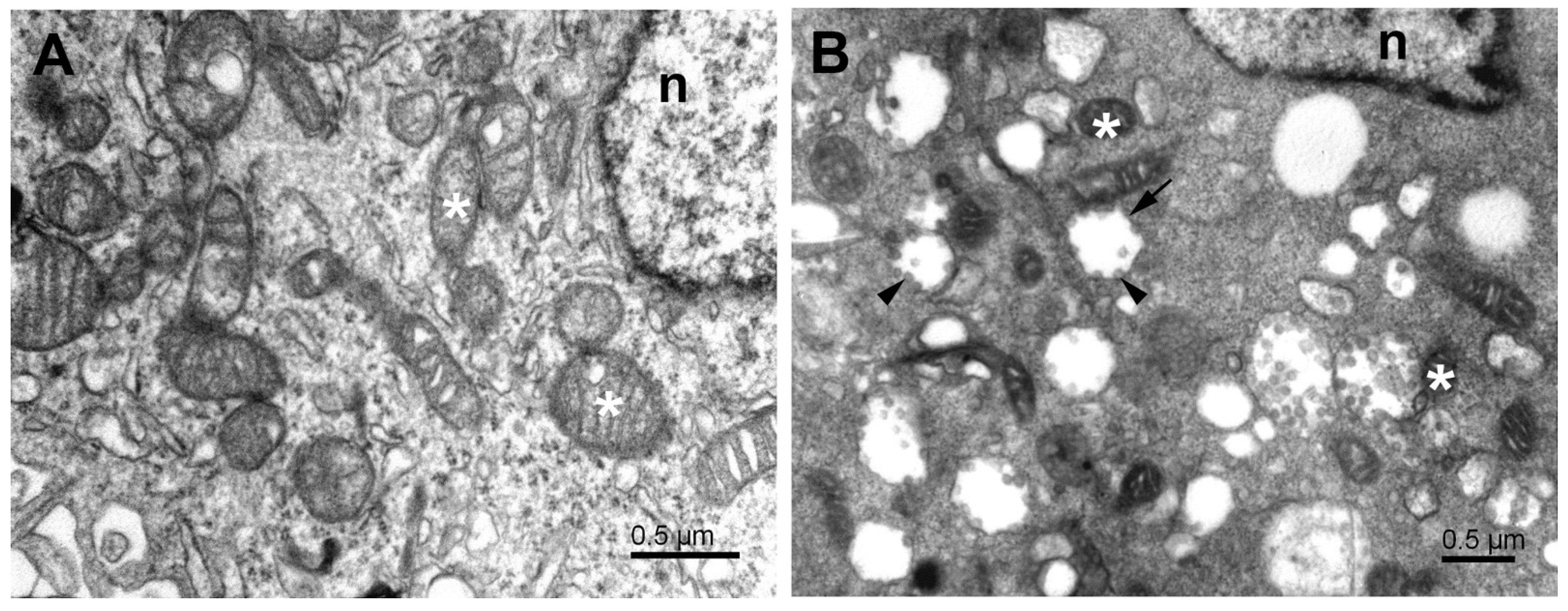 Pathogens 11 01535 g001