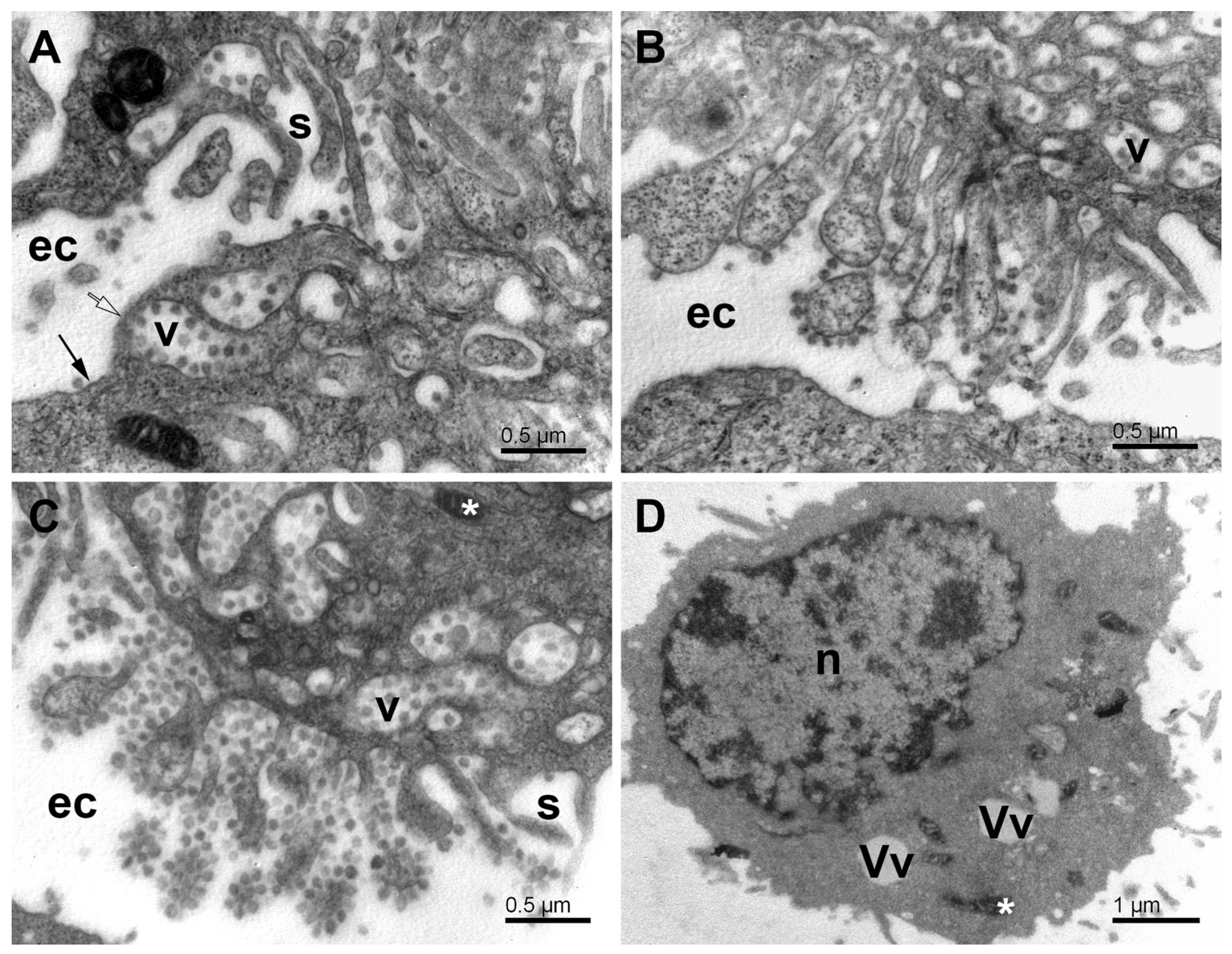 Pathogens 11 01535 g009