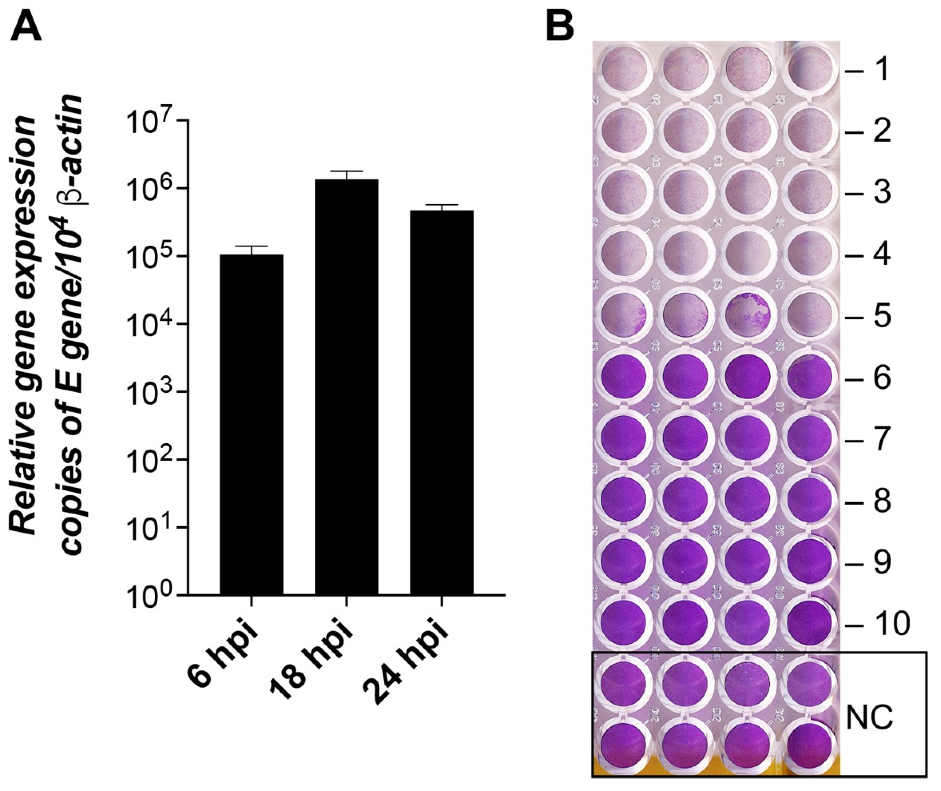 Pathogens 11 01535 g010