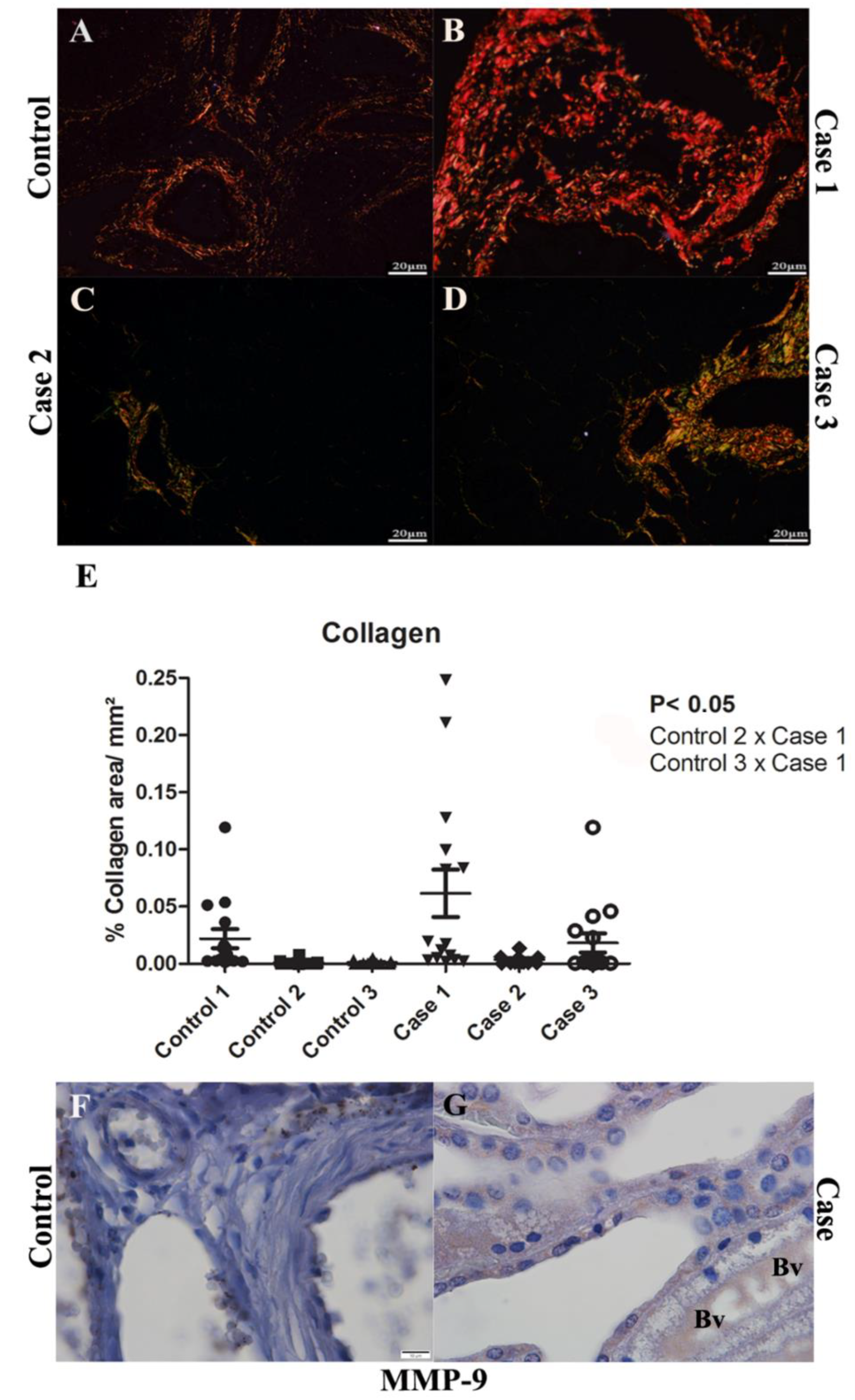 Pathogens 11 01543 g003 Pathogens 11 01543 g003