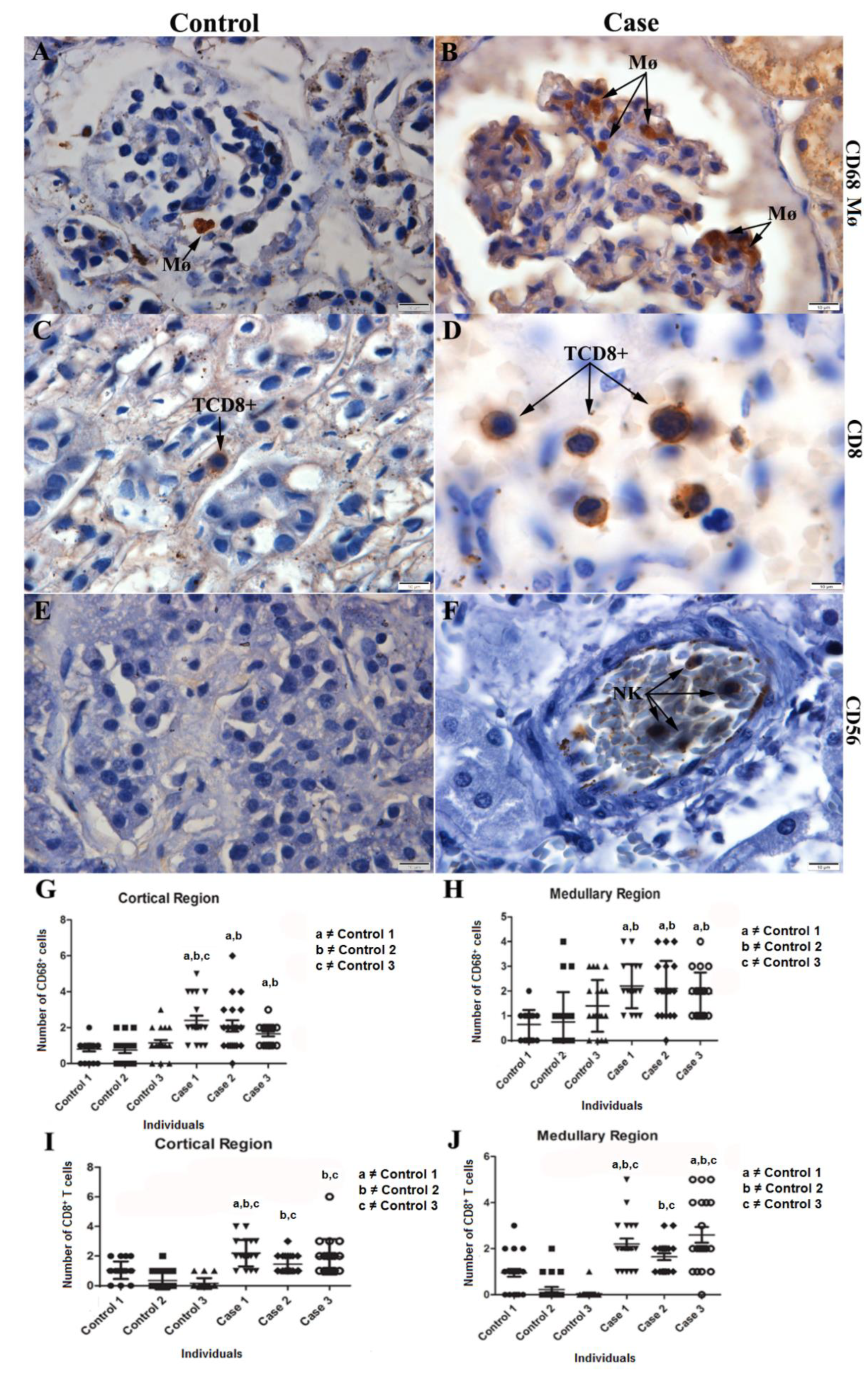 Pathogens 11 01543 g005 Pathogens 11 01543 g005