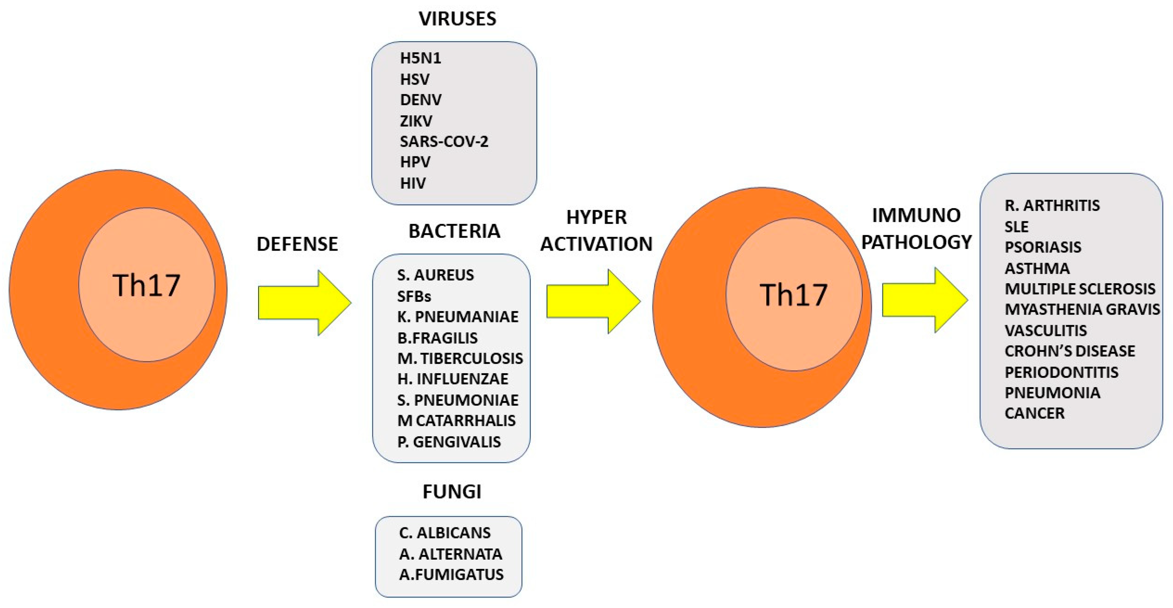 Pathogens 11 01547 g003
