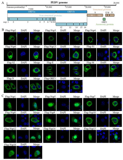 Pathogens 11 01555 g001