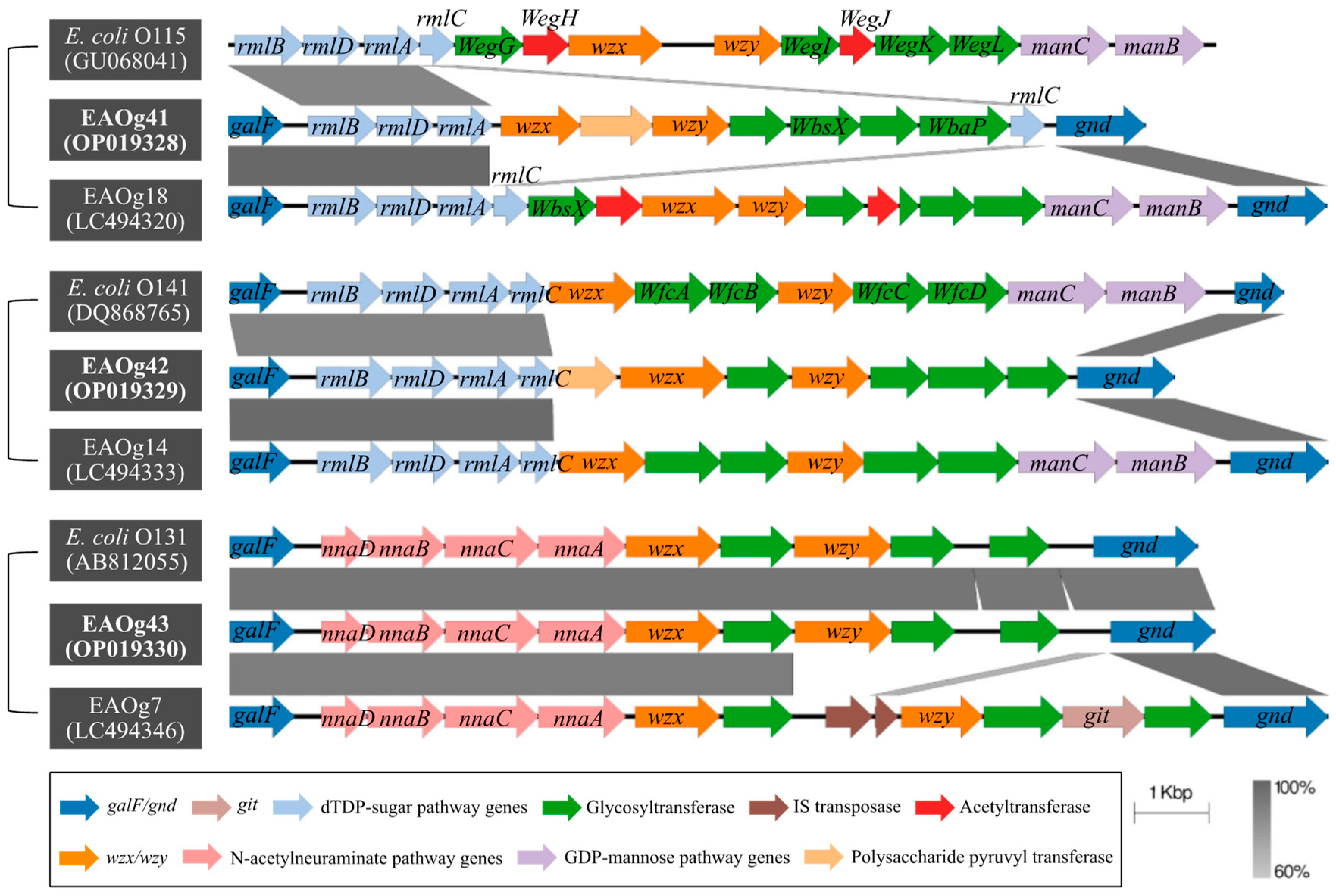 Pathogens 12 00009 g001