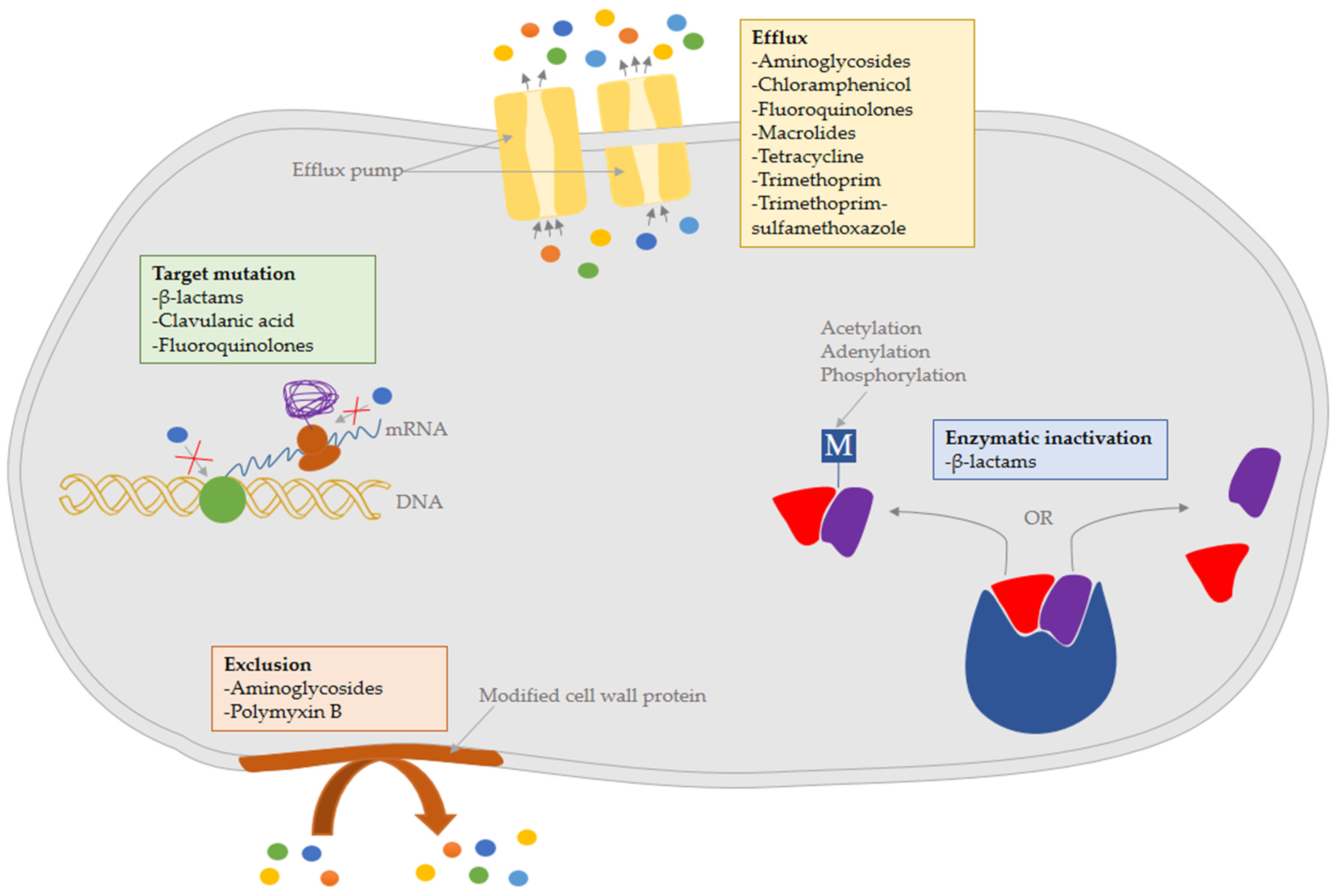 Pathogens 12 00011 g001