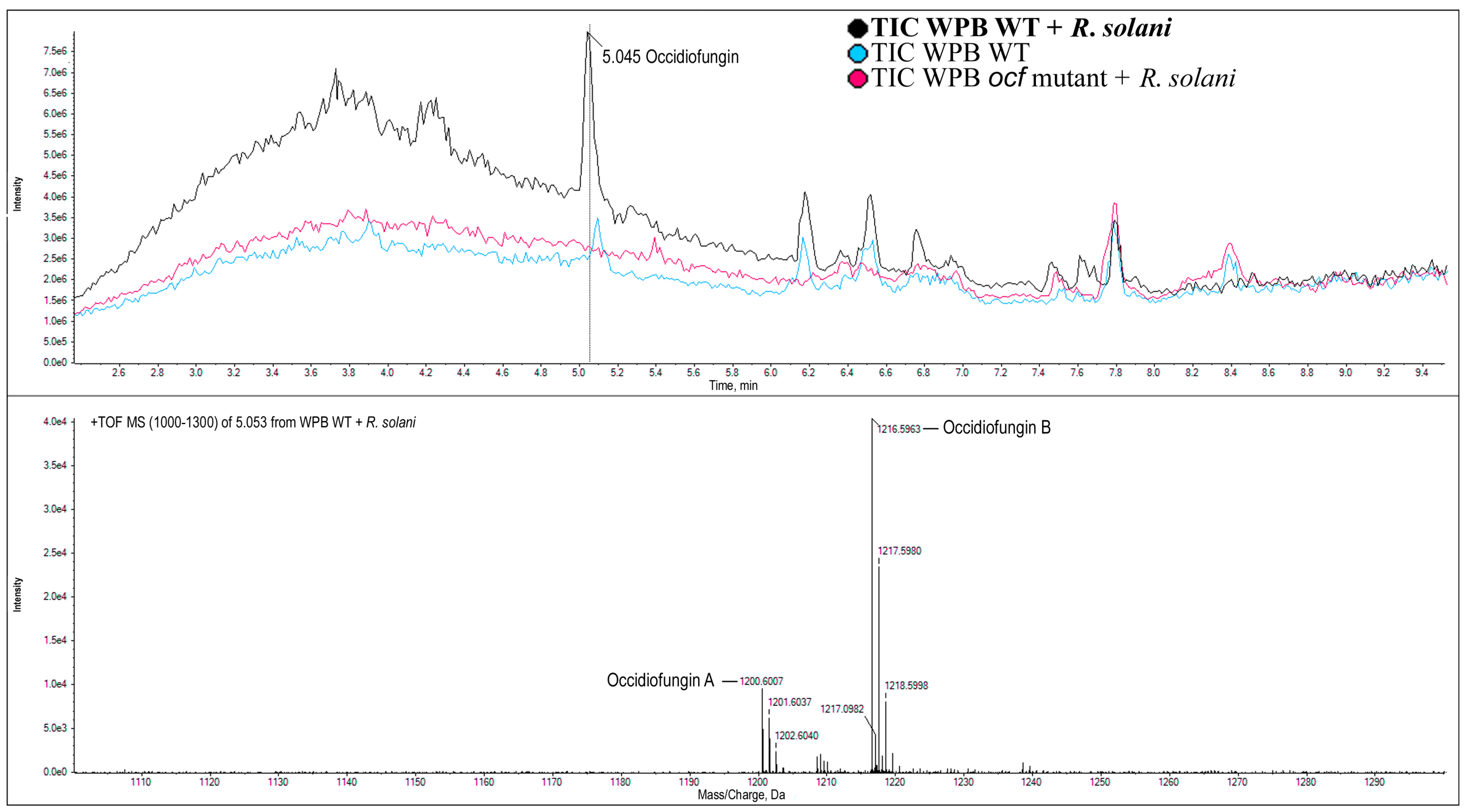 Pathogens 12 00013 g005