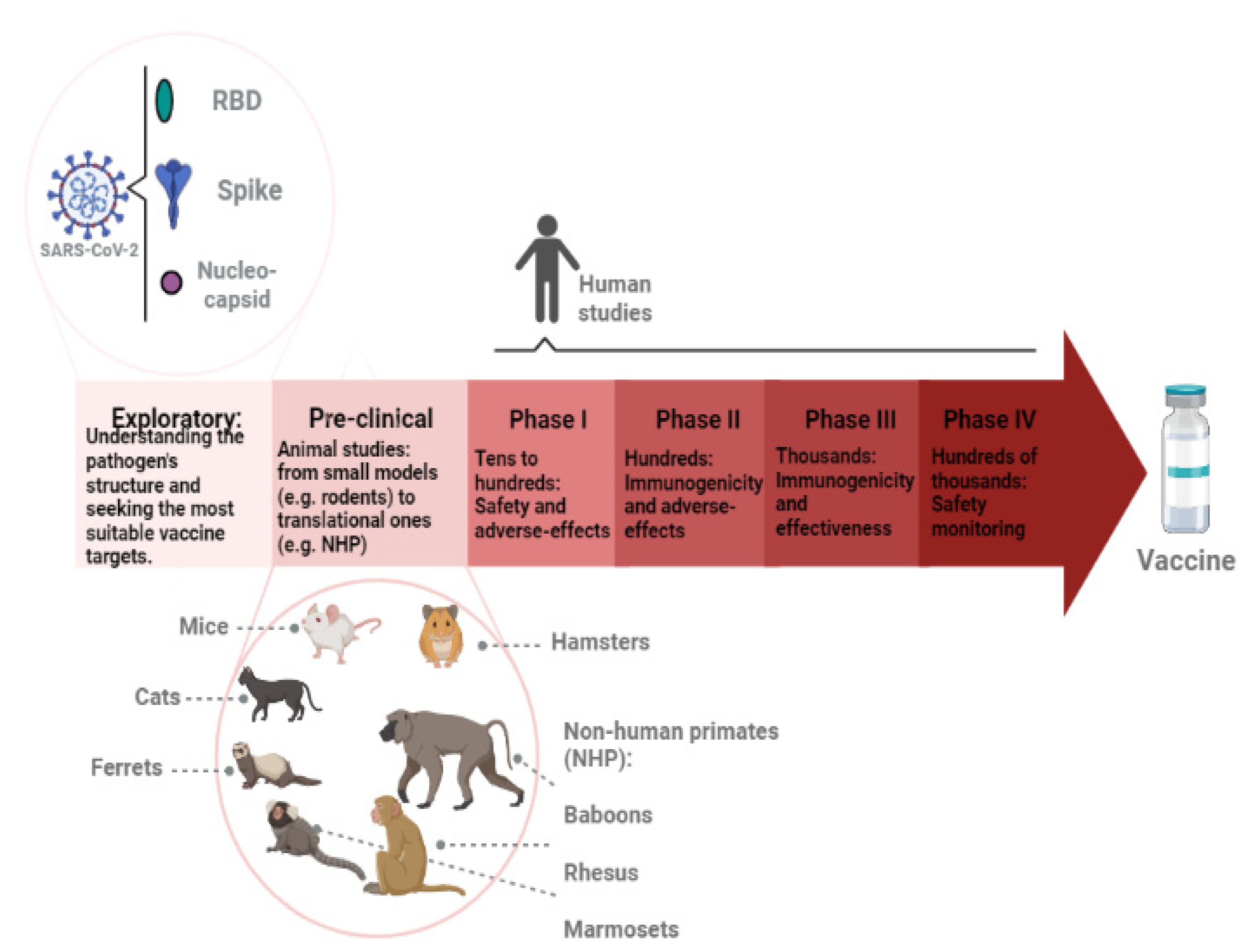 Pathogens 12 00020 g001 Pathogens 12 00020 g001