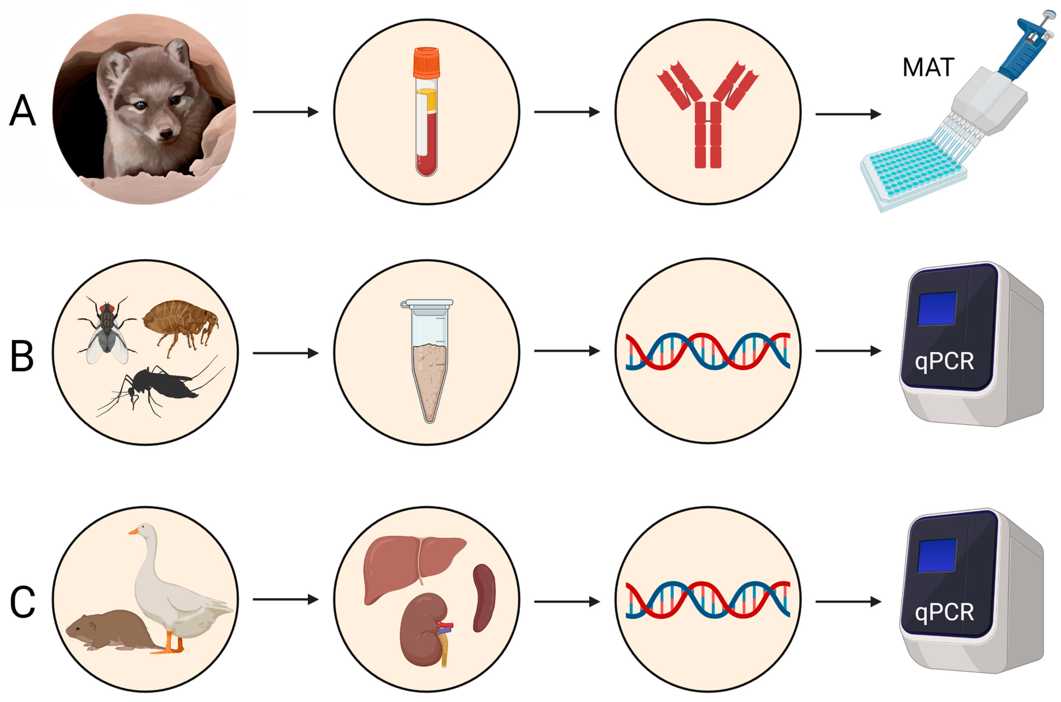 Pathogens 12 00028 g002