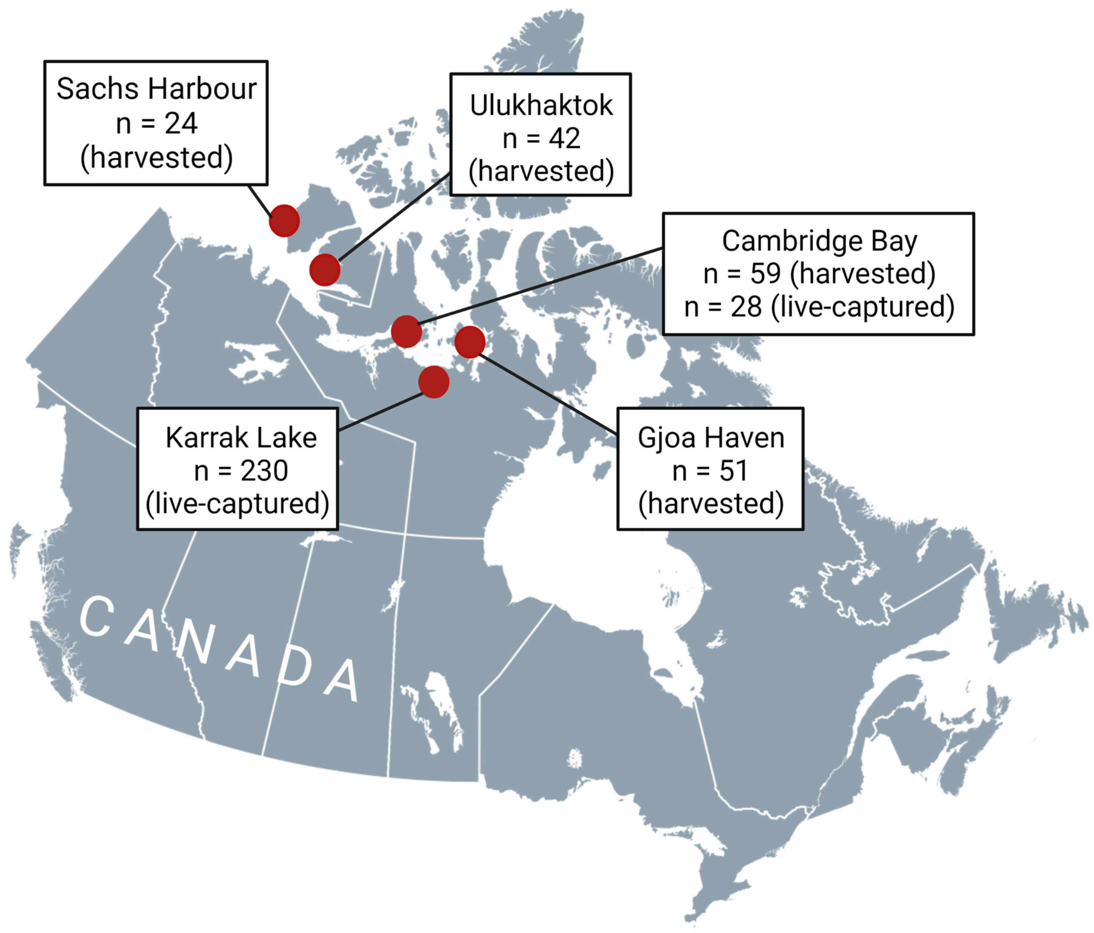 Pathogens 12 00028 g003