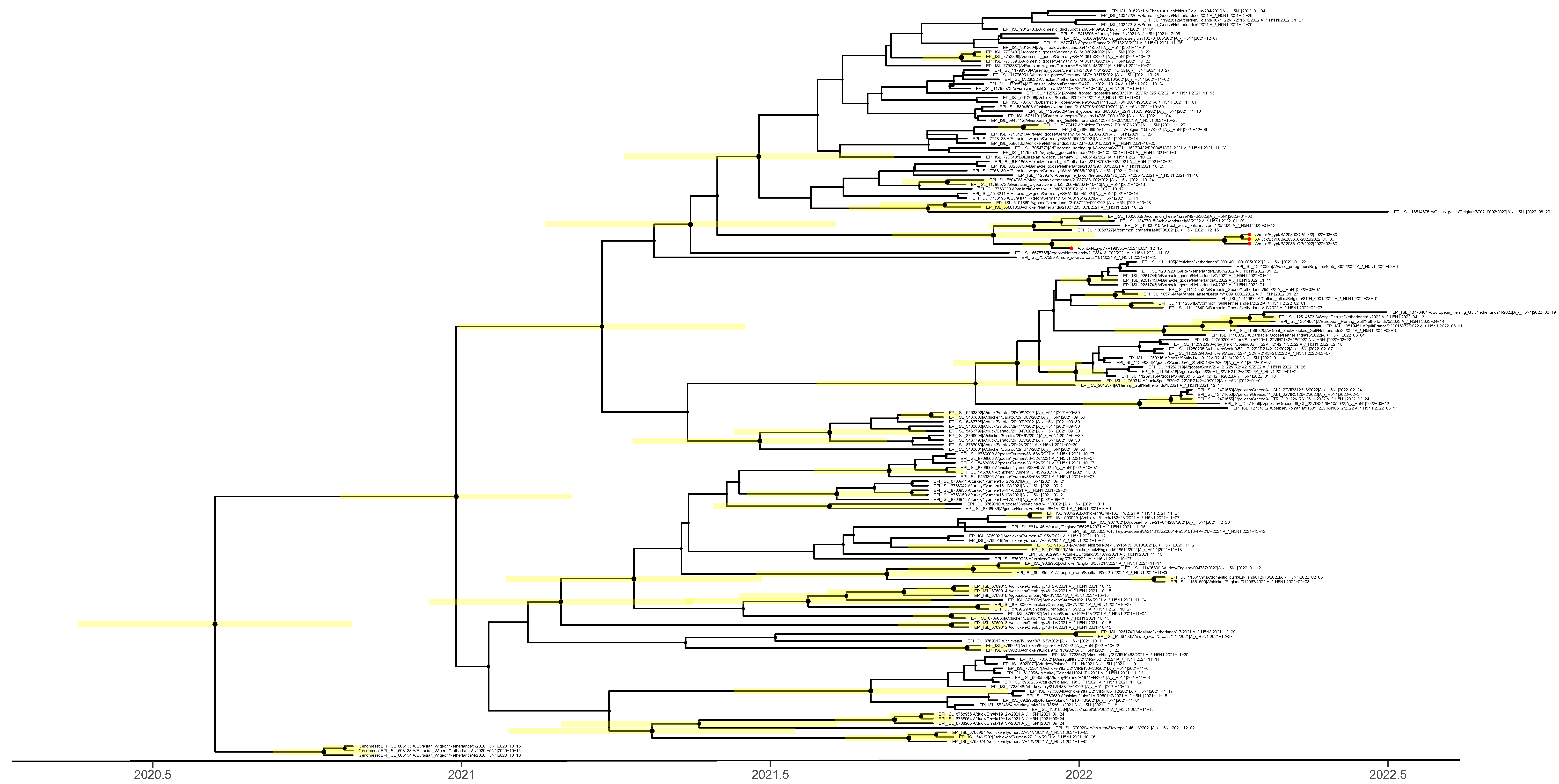 Pathogens 12 00036 g002 Pathogens 12 00036 g002